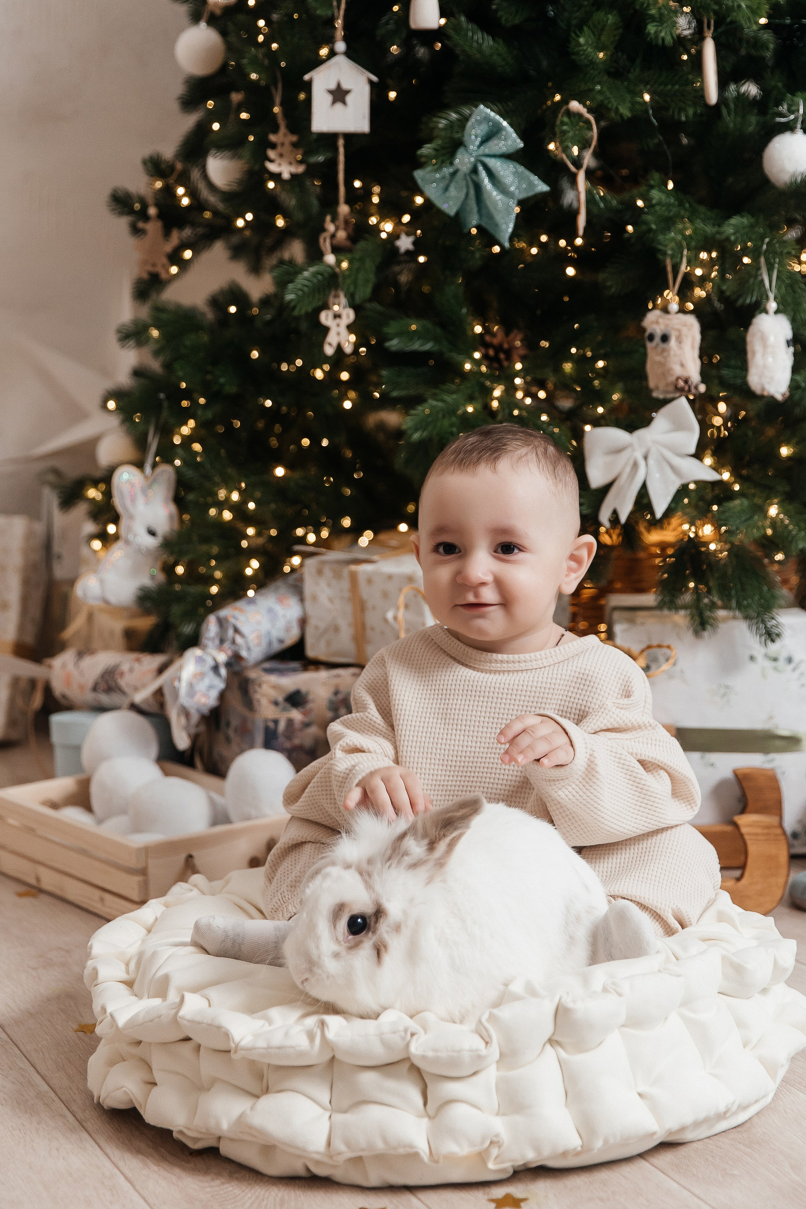 Фотосессия 2 в 1: новый год и день рождения 🎂 🎄