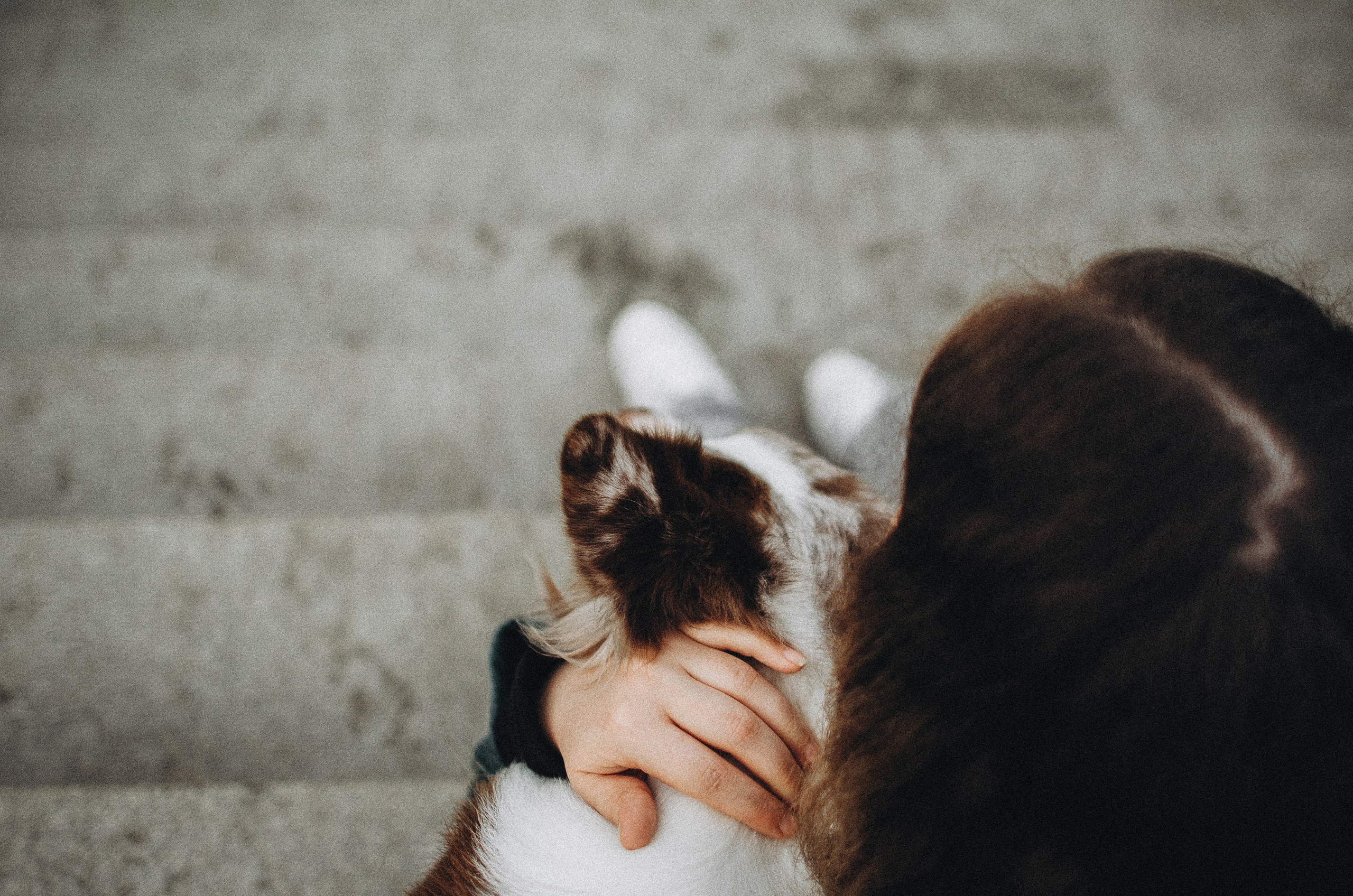 Алина и Бруна. Фотограф-анималист Богданова Полина