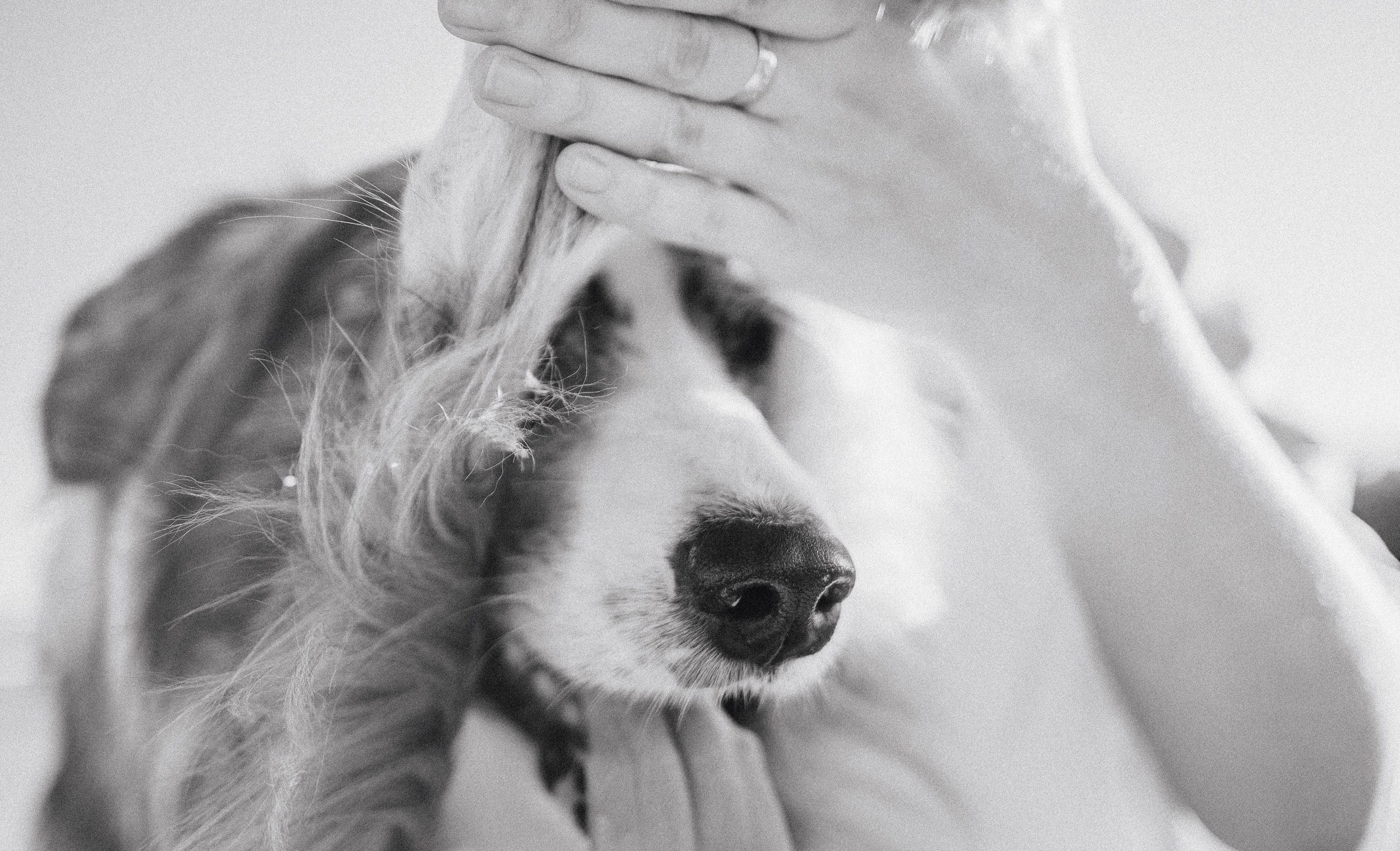 Таня и Бриллиант. Фотограф-анималист Богданова Полина