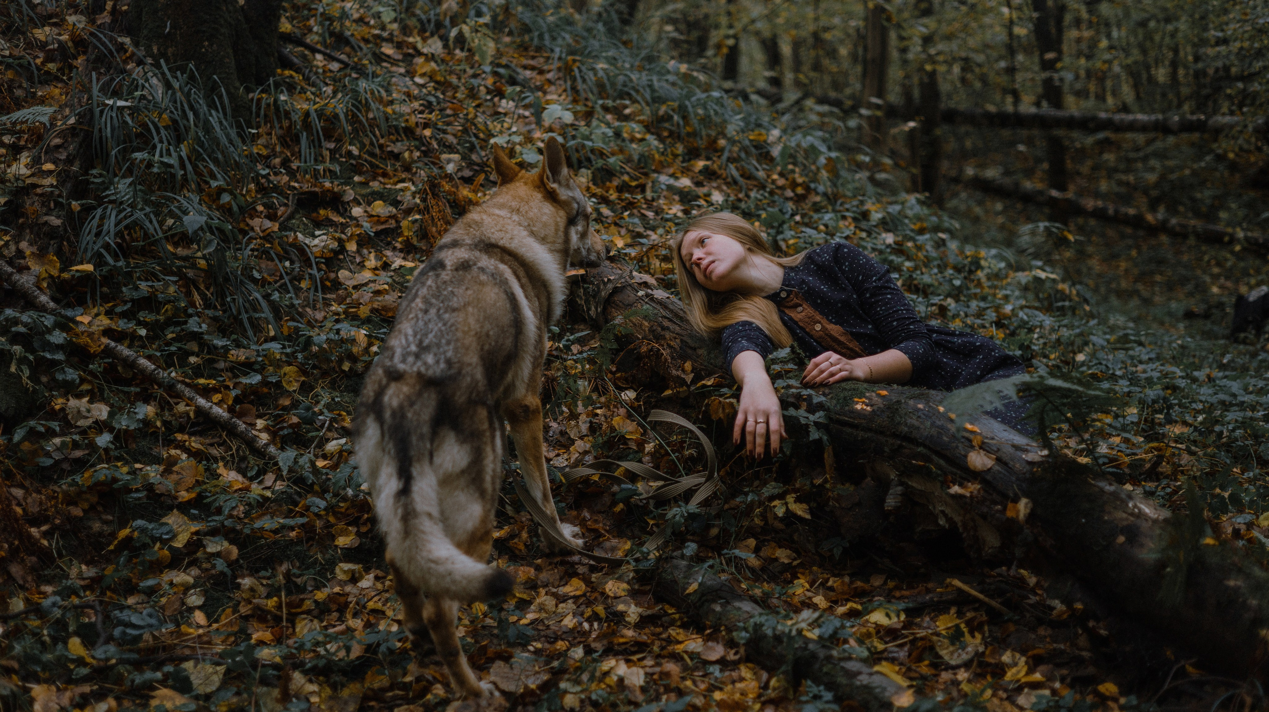 Полина и Вегард. Фотограф-анималист Богданова Полина