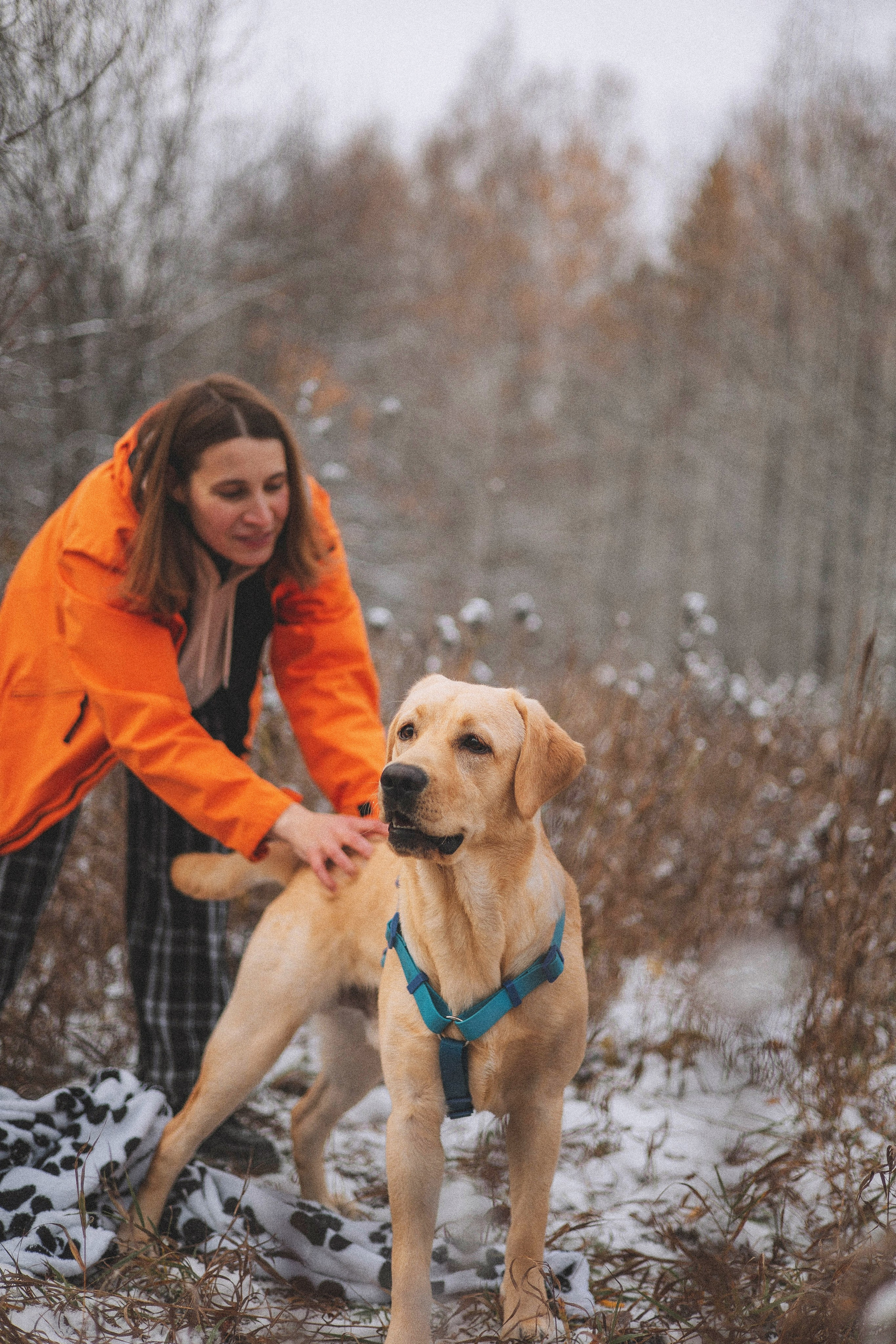 Маргарита и Варди. Фотограф-анималист Богданова Полина