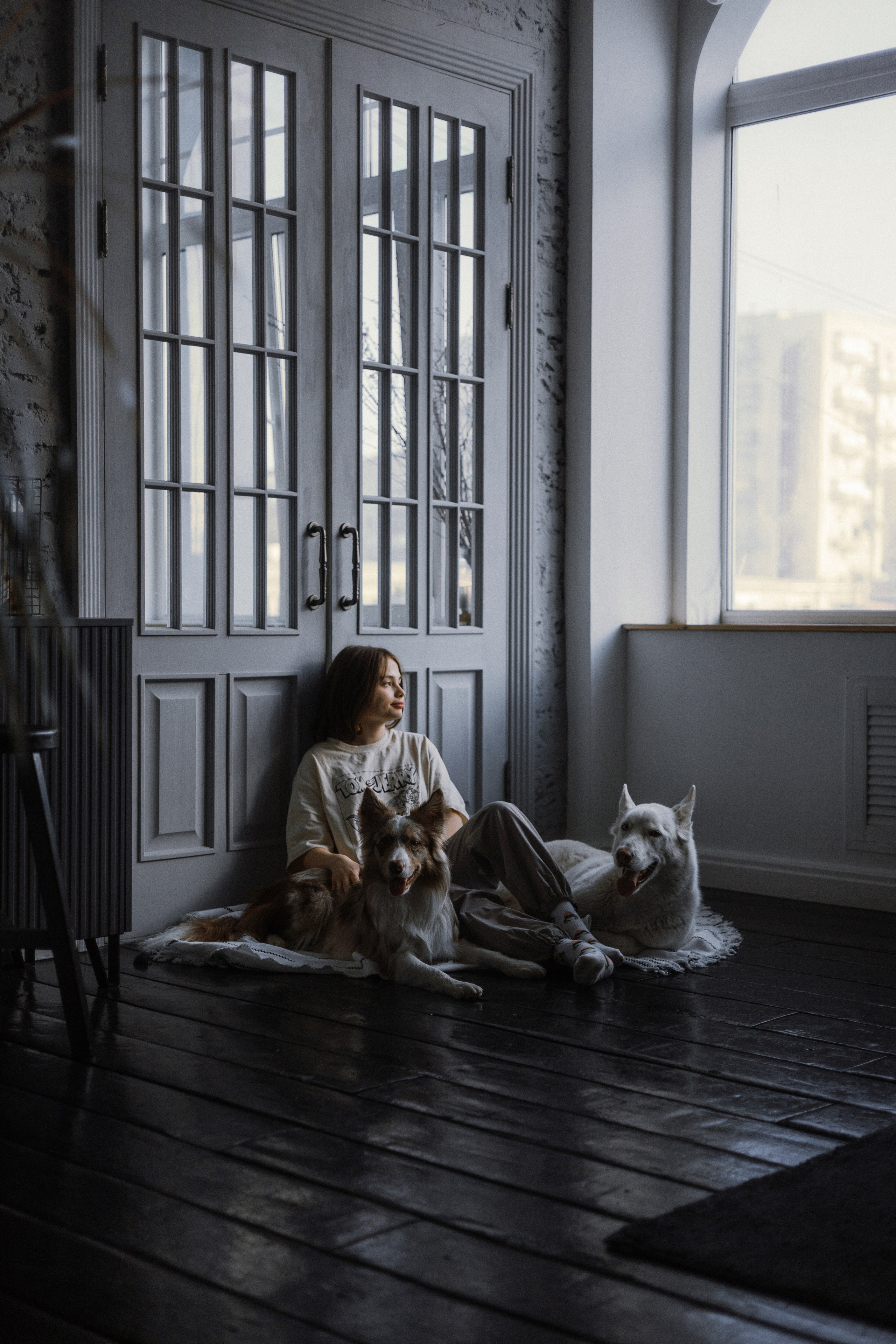 Аня, Дэймон и Грэй. Фотограф-анималист Богданова Полина