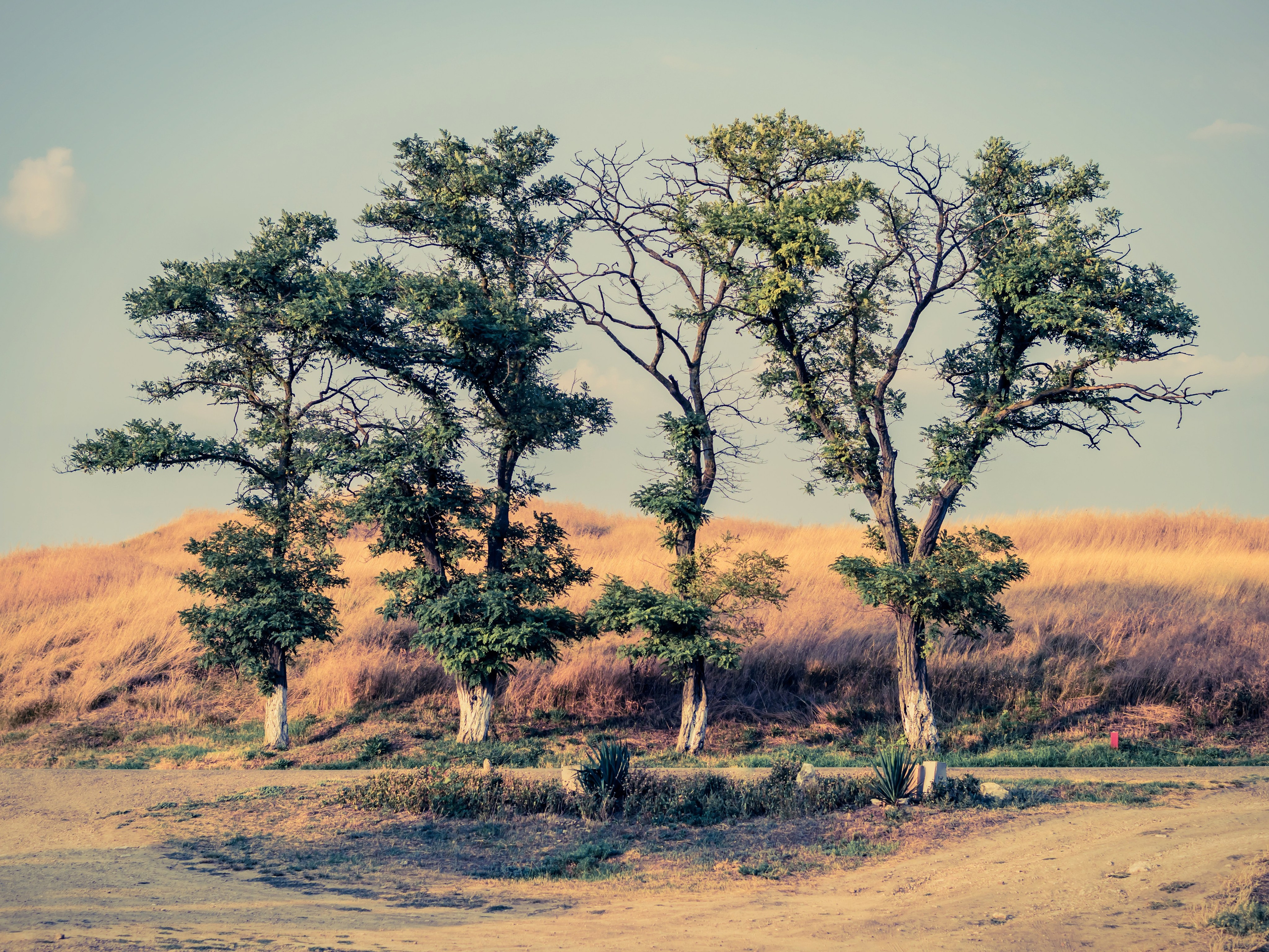 Улица и пейзаж. Oles Paritskiy