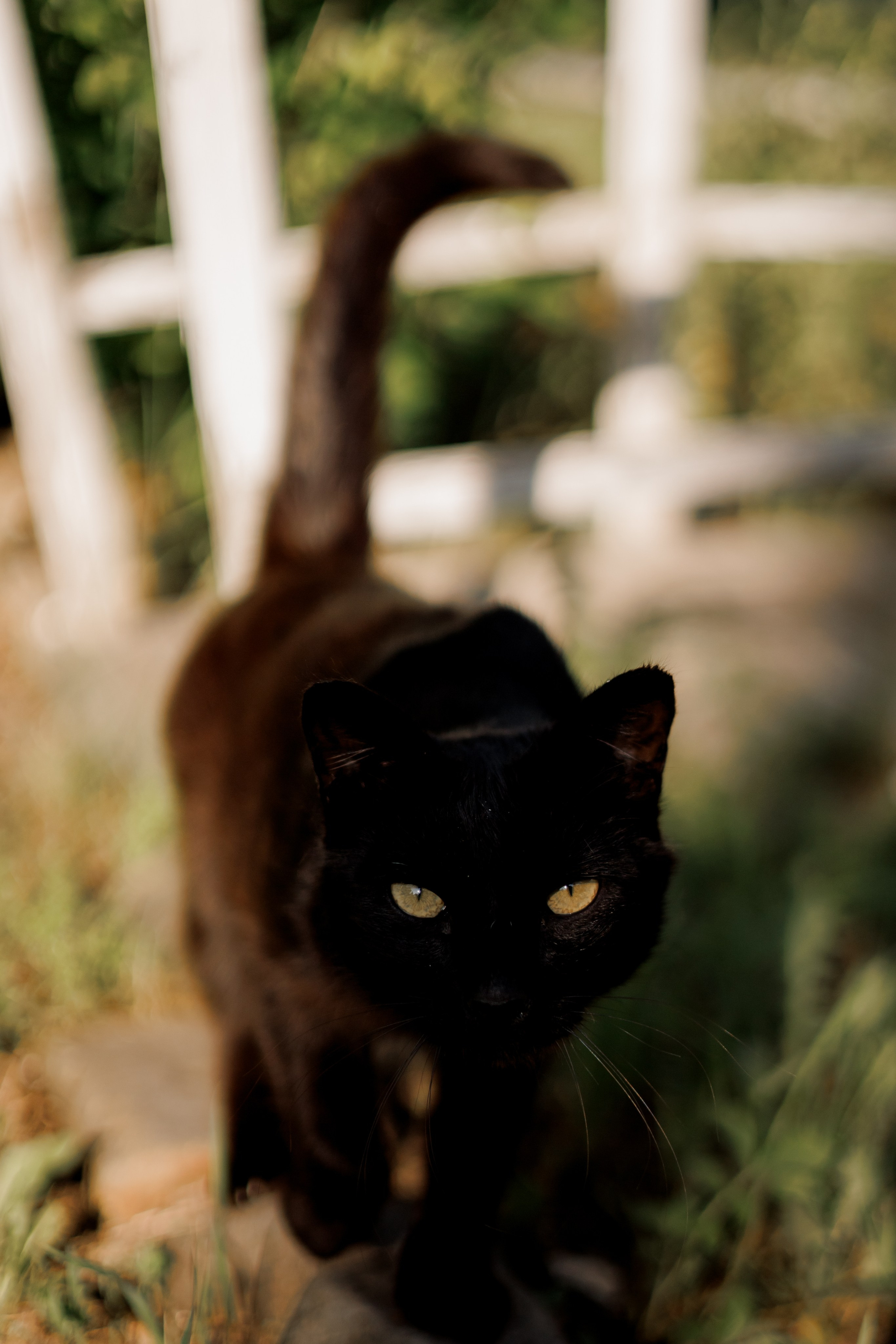 Детский фотограф биробиджан. Детский и семейный фотограф  Биробиджан Оля Светагор