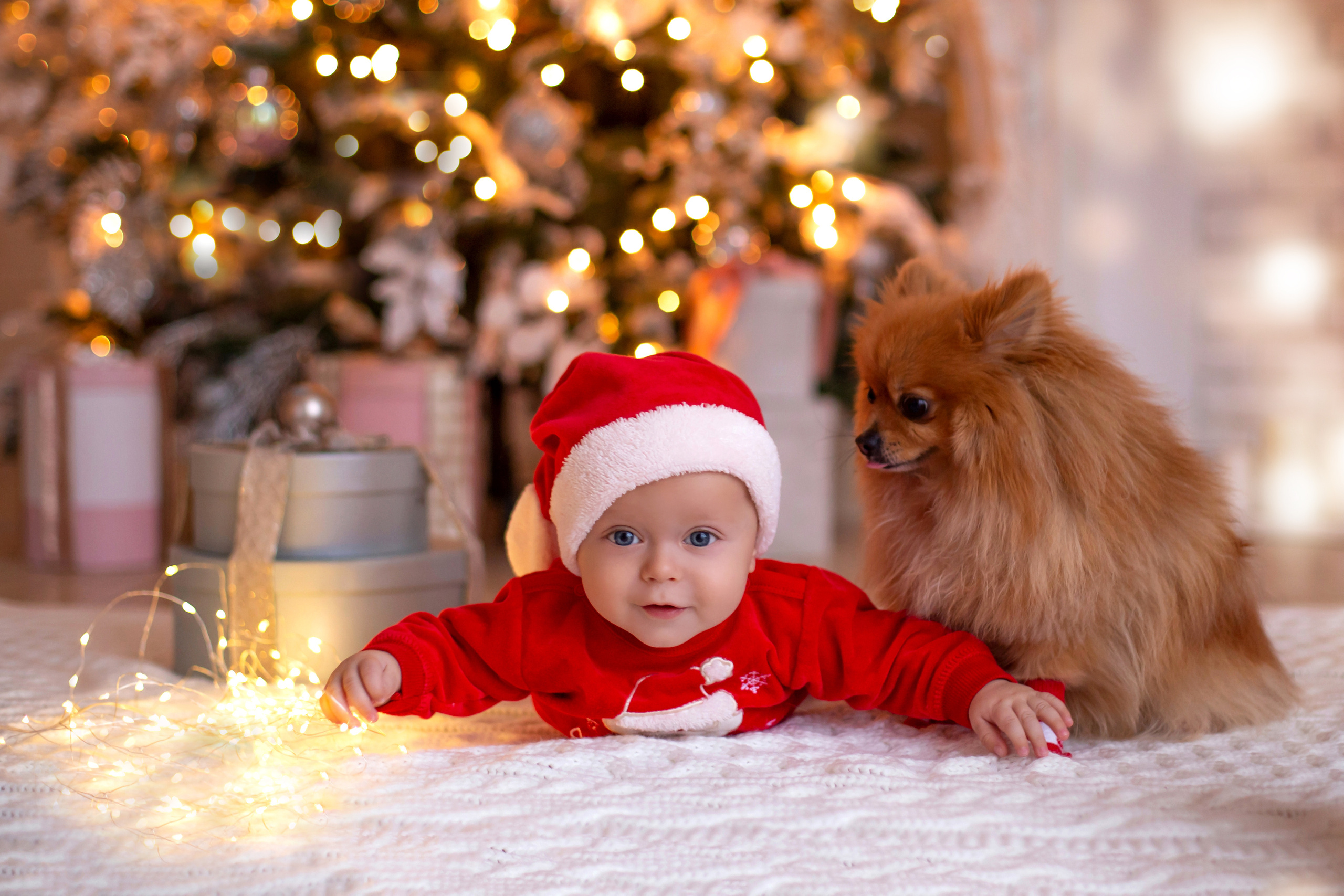 Наташа. СЕМЕЙНАЯ ФОТОСЕССИЯ МОСКВА