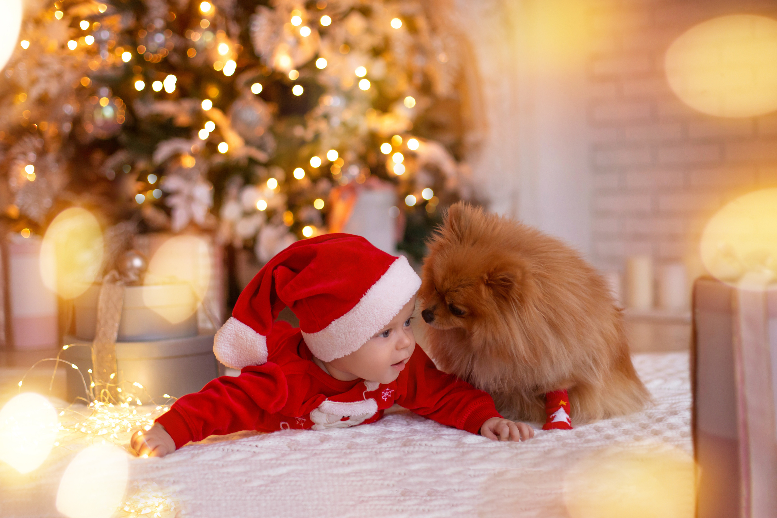 Наташа. СЕМЕЙНАЯ ФОТОСЕССИЯ МОСКВА