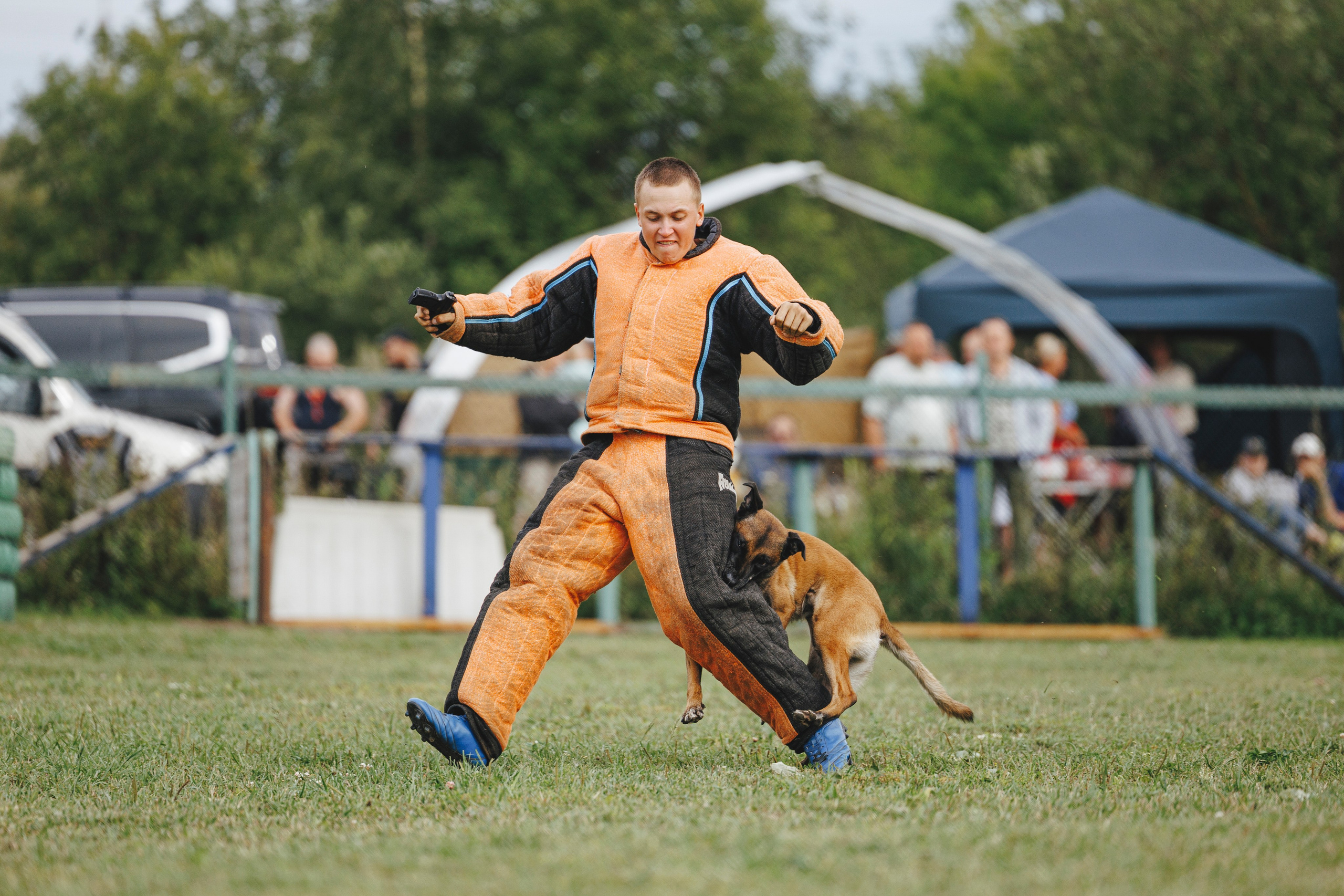 08.08.25-10.08.25 ЧР по мондьорингу г. Вологда. Фотограф-анималист Анна Маринич