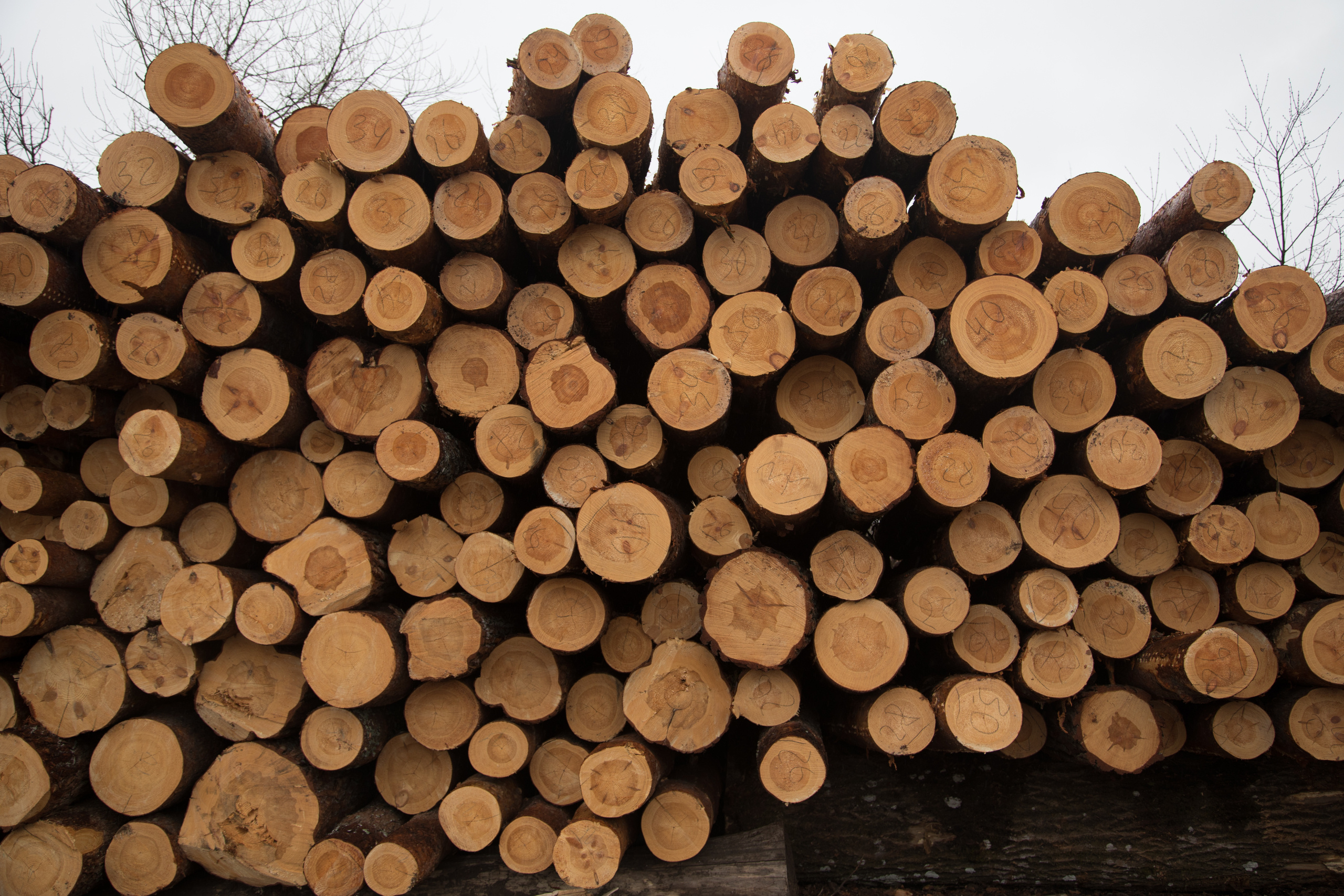 Предметка. Фотография и видеосъёмка