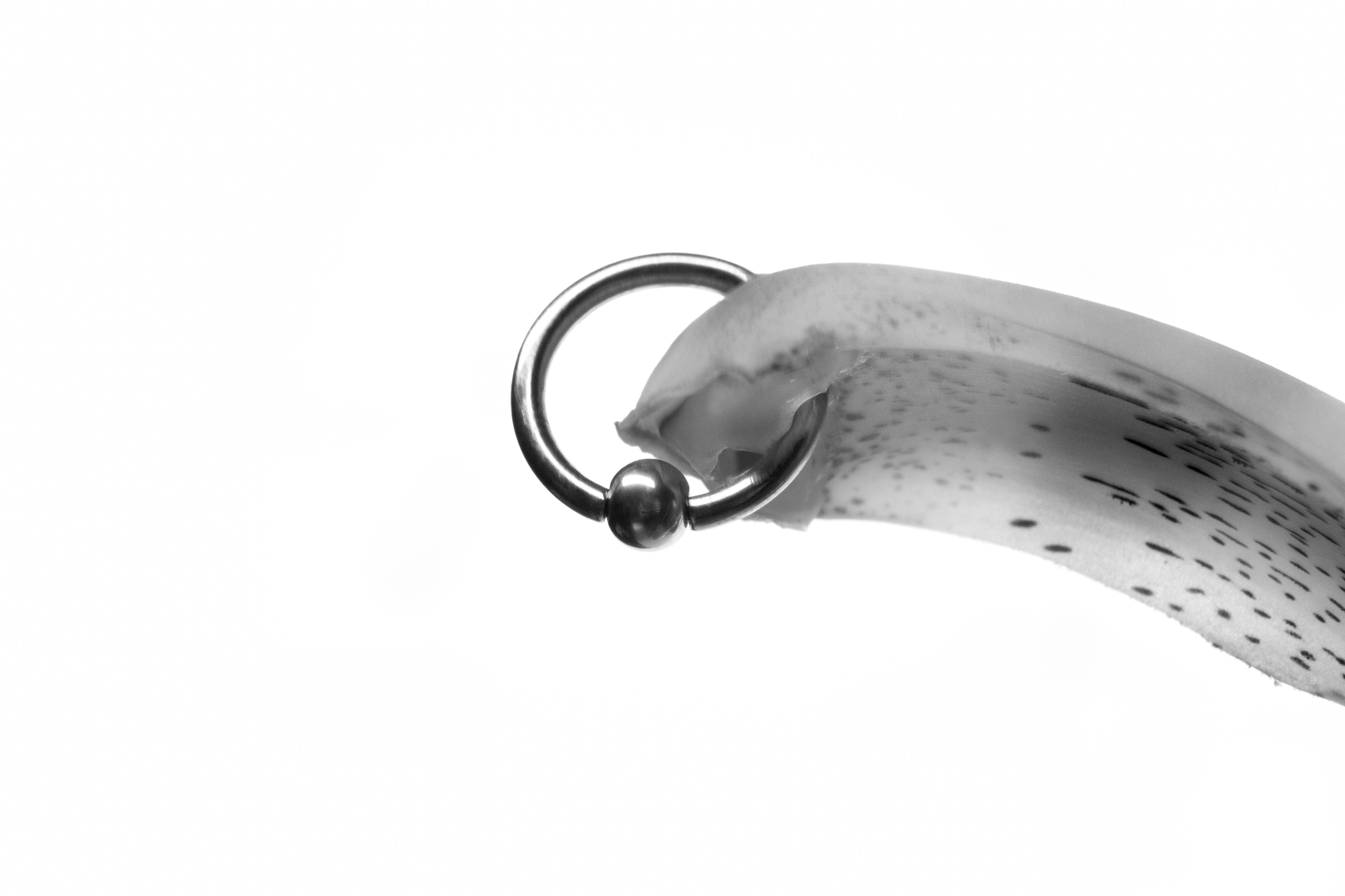 Pierced Flowers. Alexandr Staub Multidisciplinary artist