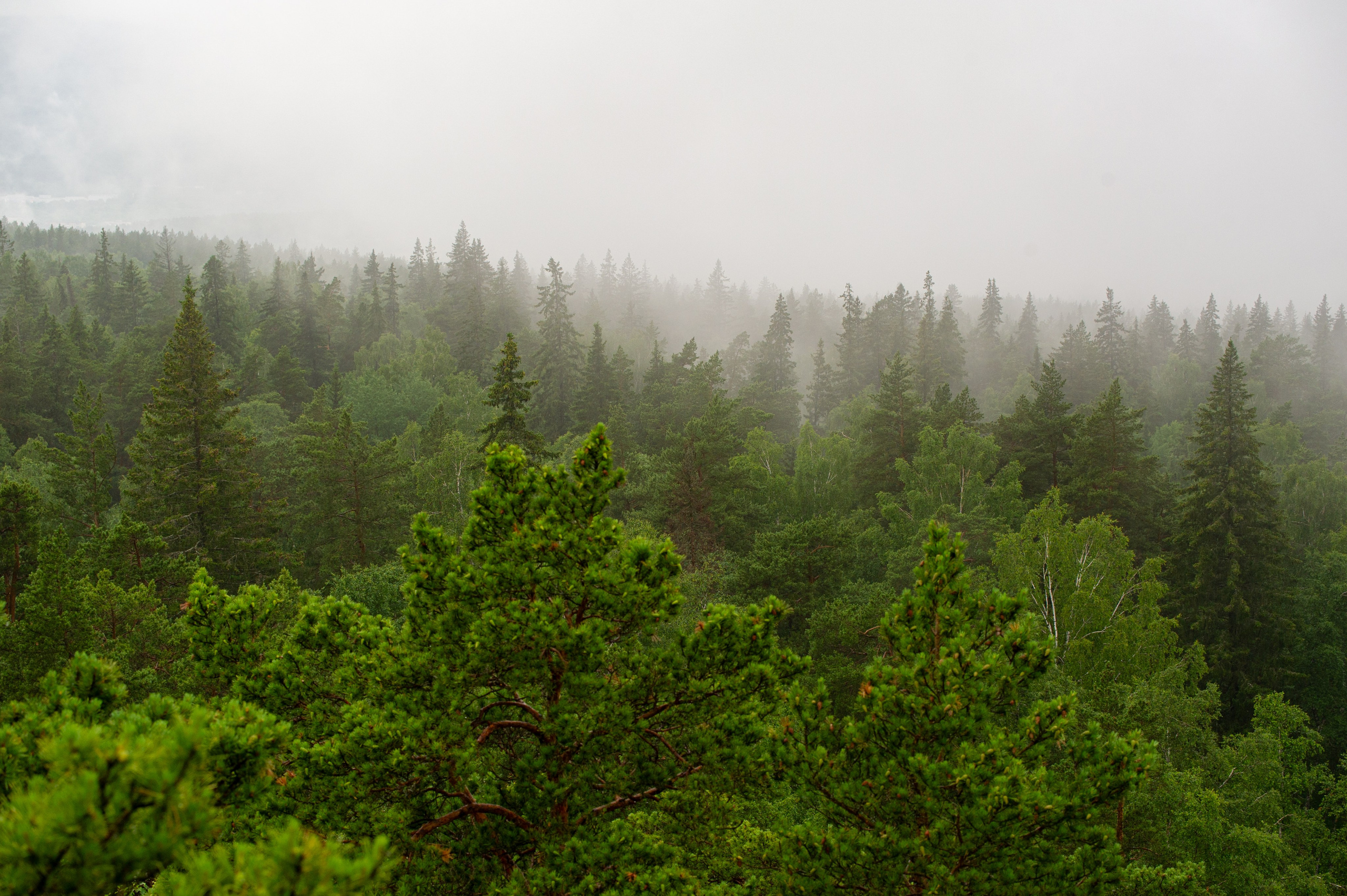 Национальный парк Таганай. Фотограф Шариков Илья