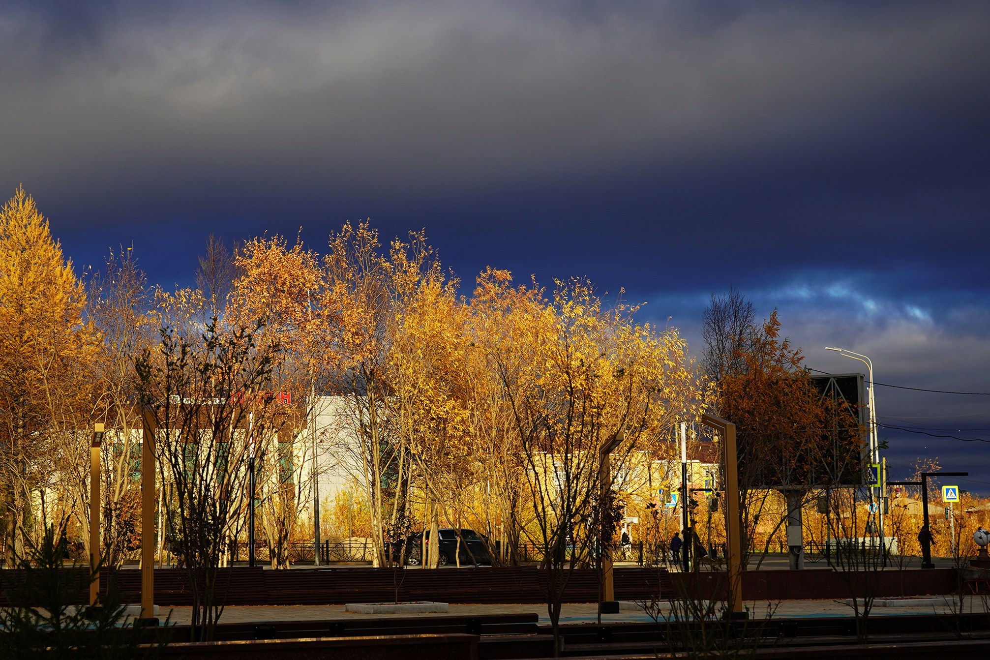 Осень. Фотограф Екатерина Зорина