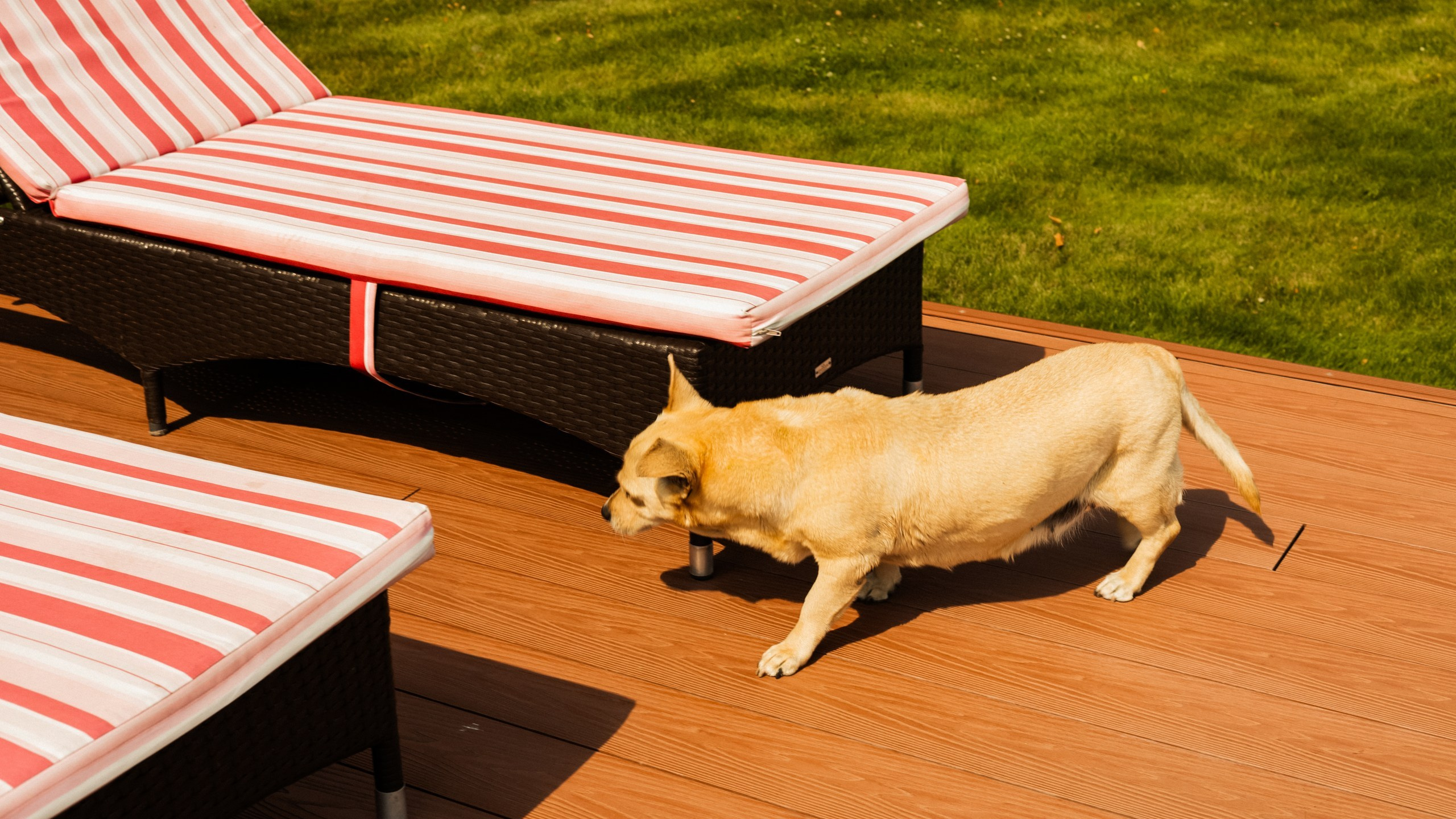 Elizabeth & Alexander. Индивидуальный фотограф в Оренбурге Кристина Студеникина