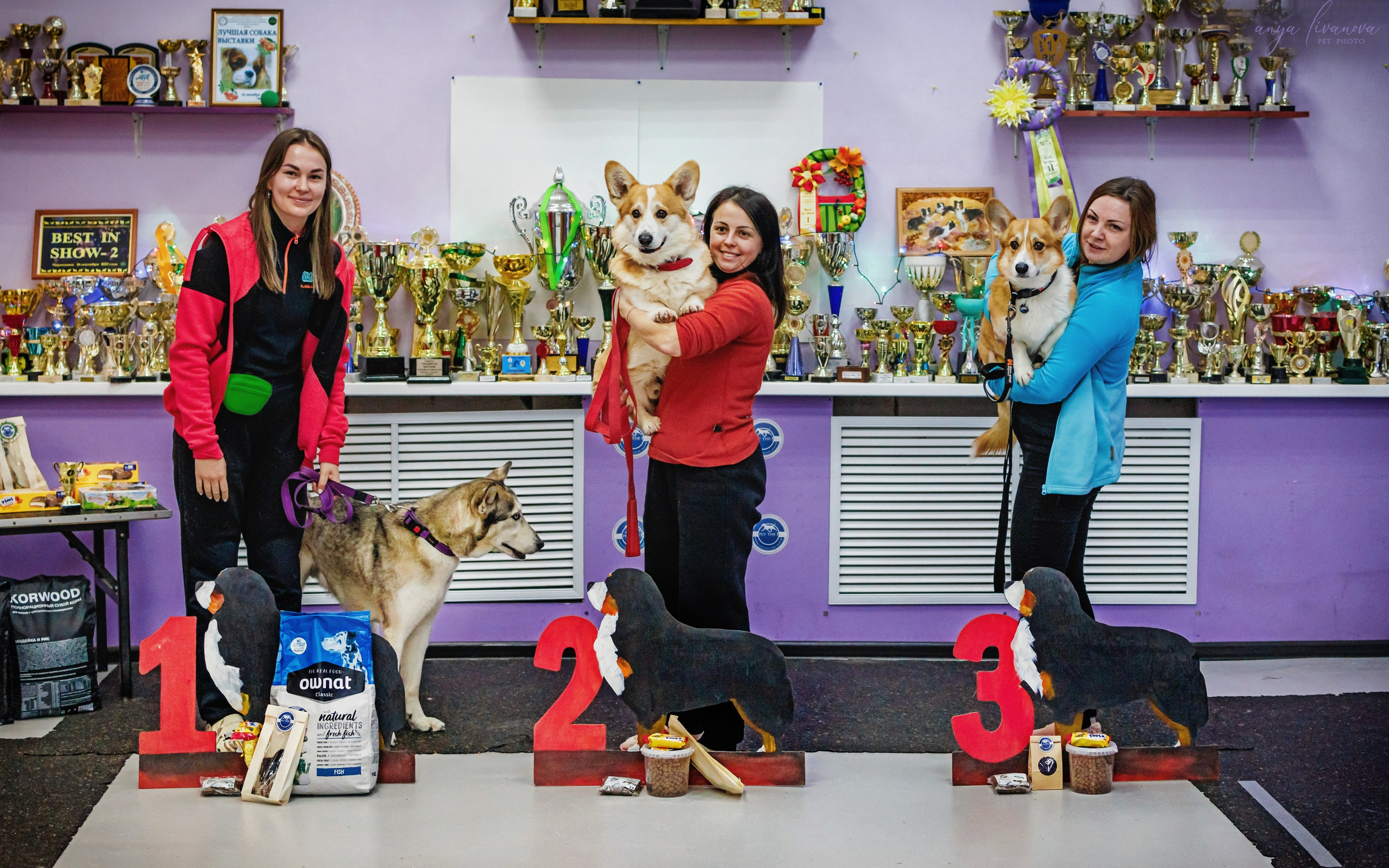 НГ конкурсы в «Simply the Best». Фотограф анималист Аня Ливанова | Рыбинск