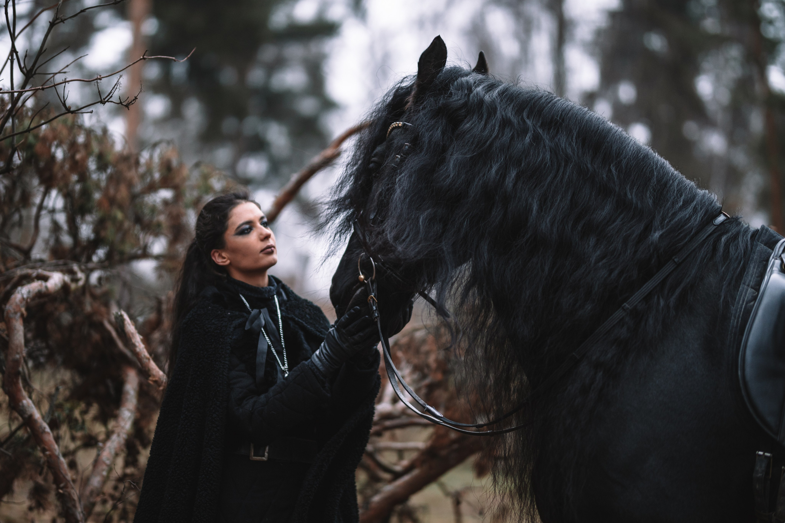 Наташа с фризом в костюме викинга. Фотосессии с лошадьми