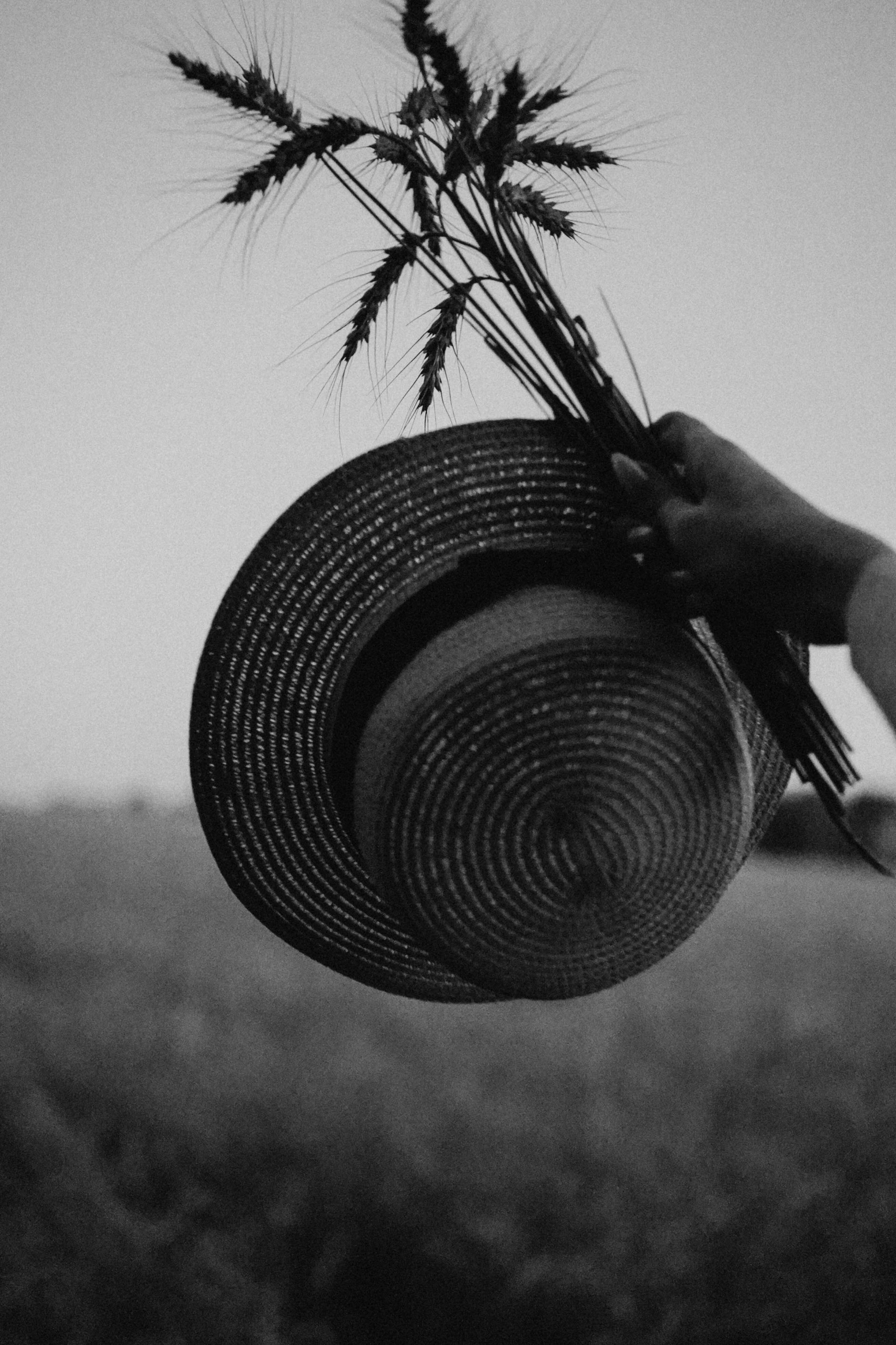 Летний вечер. Профессиональный фотограф, Санкт-Петербург — Виктория Богомолова