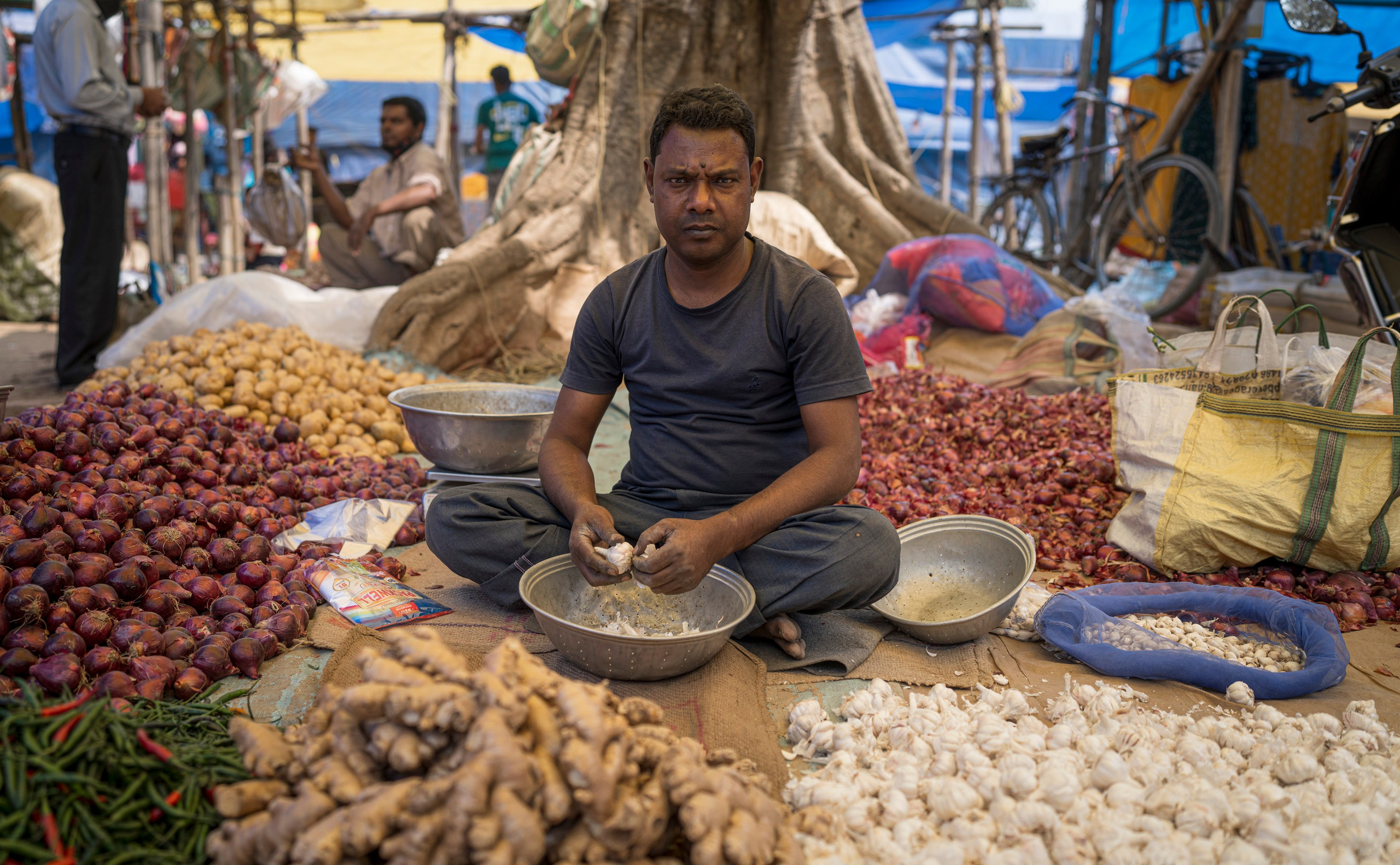 India travel. Фотограф Сергей Танков