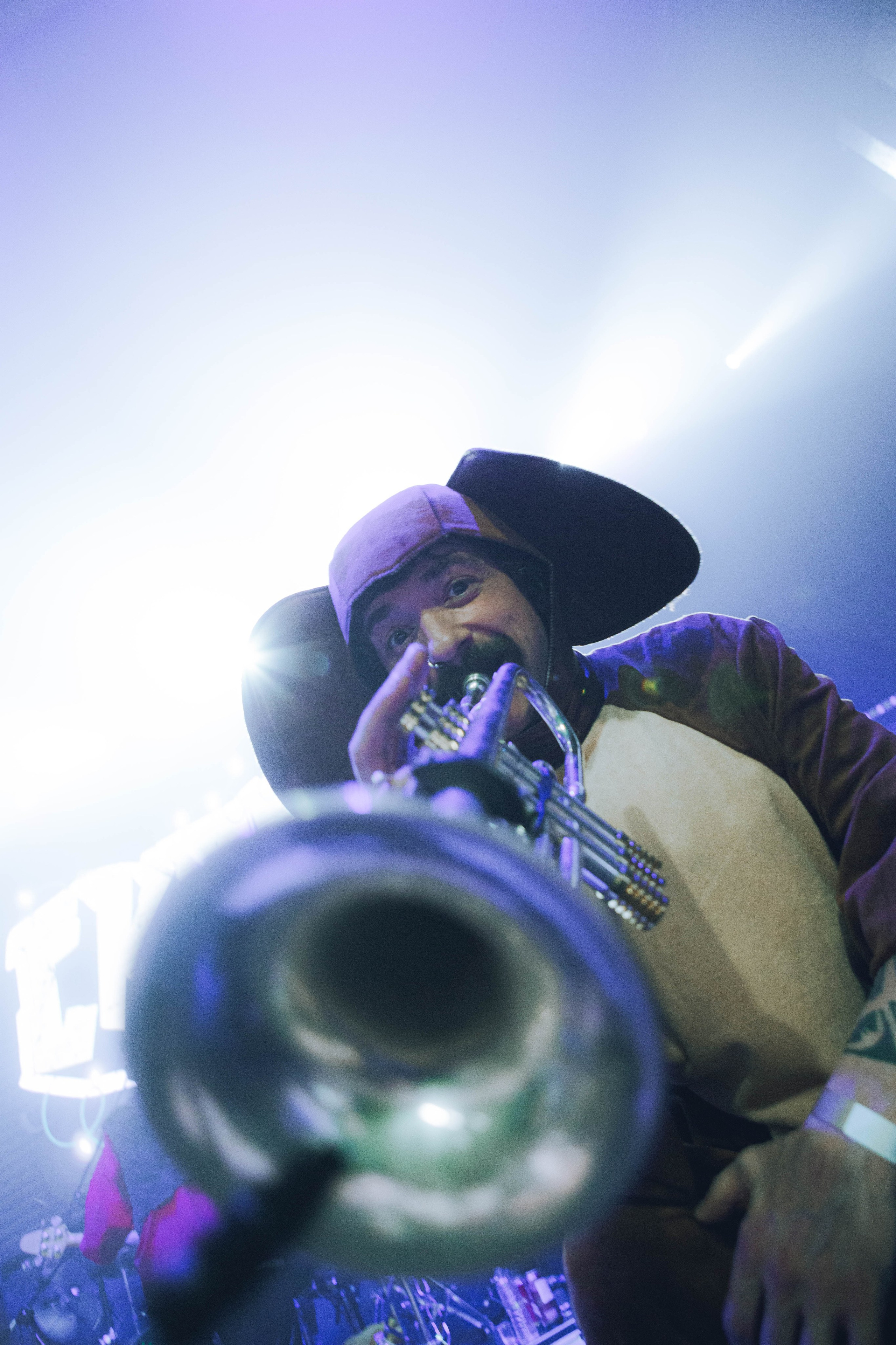 СКОТЫ 20.12.2025. Репортажный и портретный фотограф Михаил Мартиросян