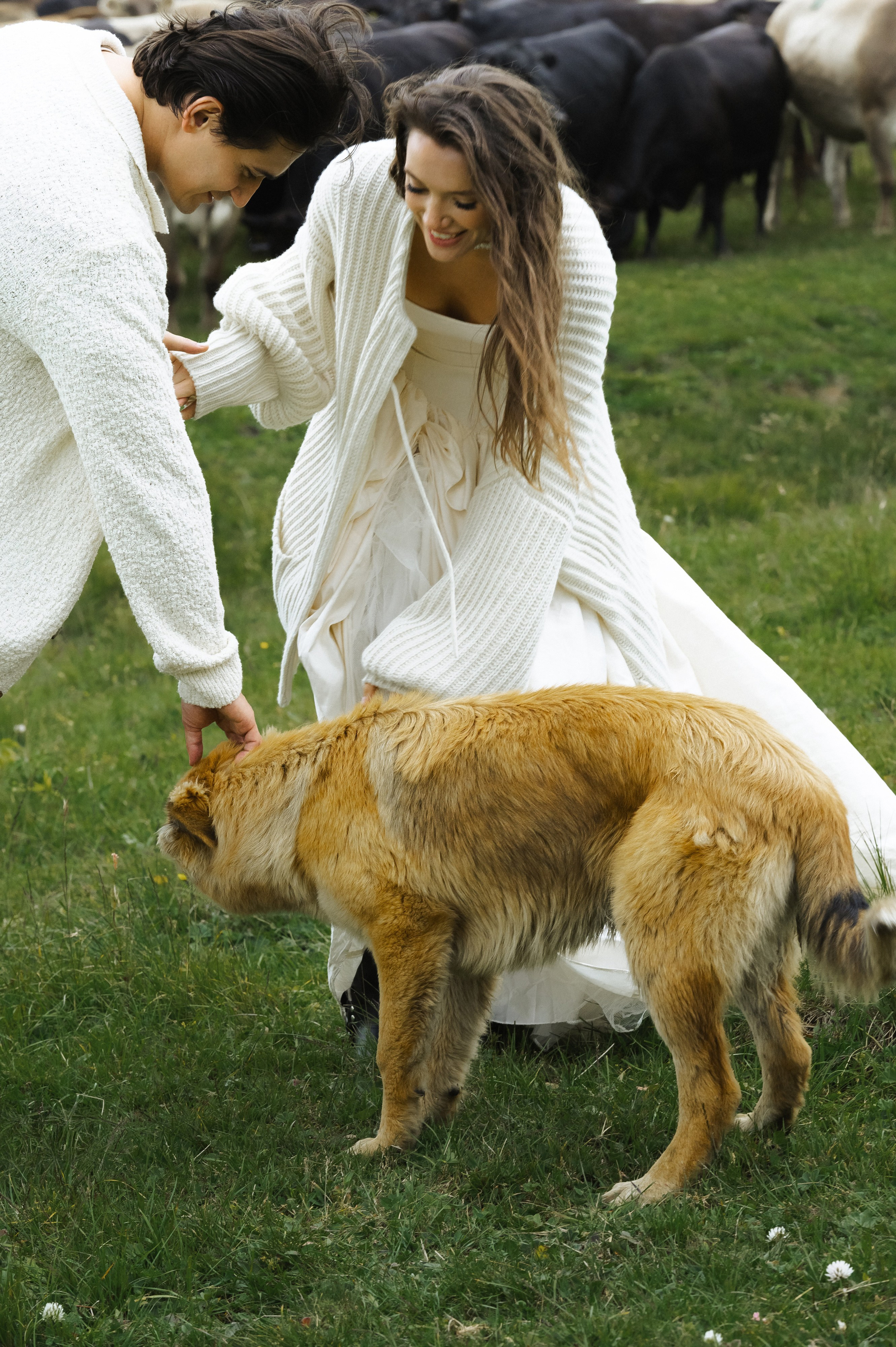Владимир и Анна. Свадебный фотограф Ростов-на- Дону, Краснодар, Москва