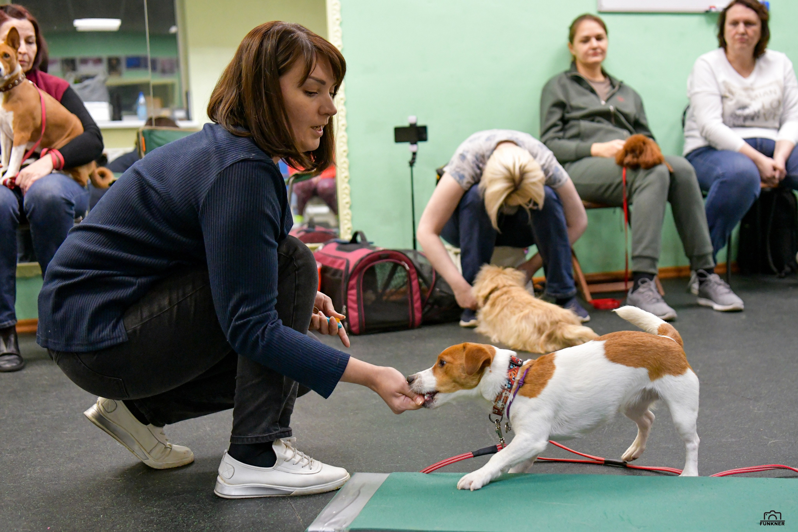 Кинологический клуб «Бодрый хвост». Свой взгляд через объектив