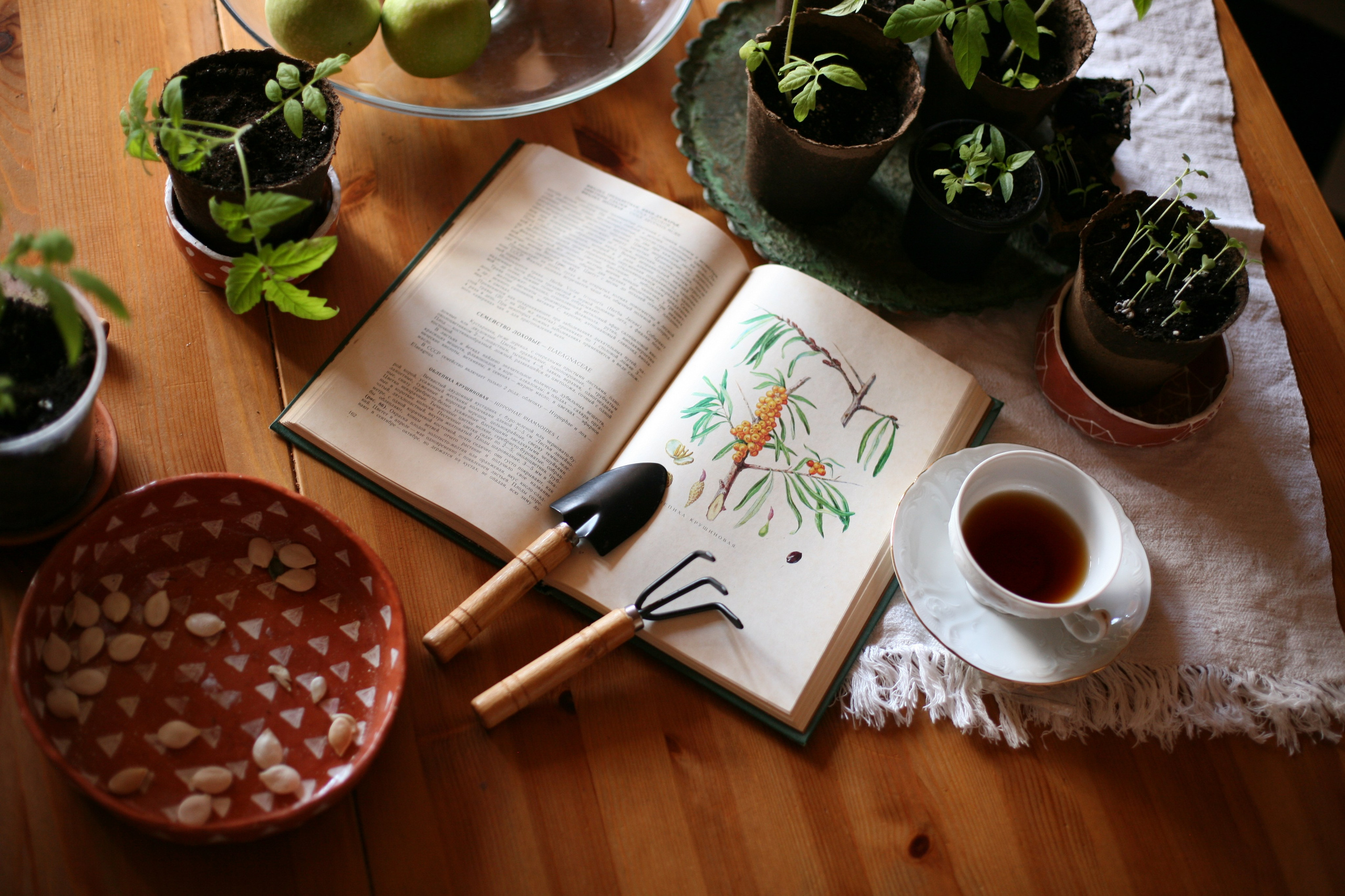 Курс «Психология на грядке». АRТ&PSY | Искусство психологии