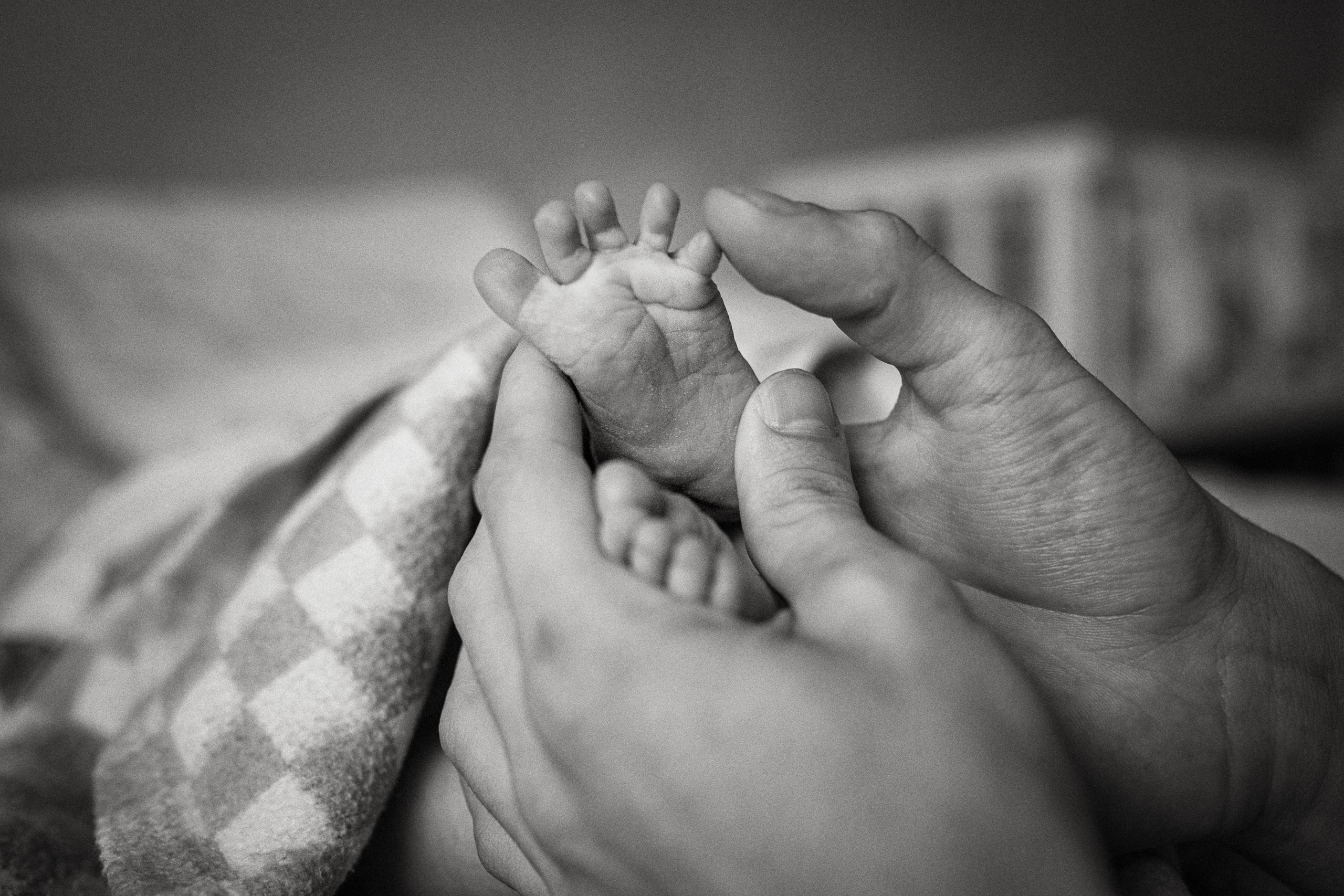 Семейный фотограф москва. Фотограф Москва