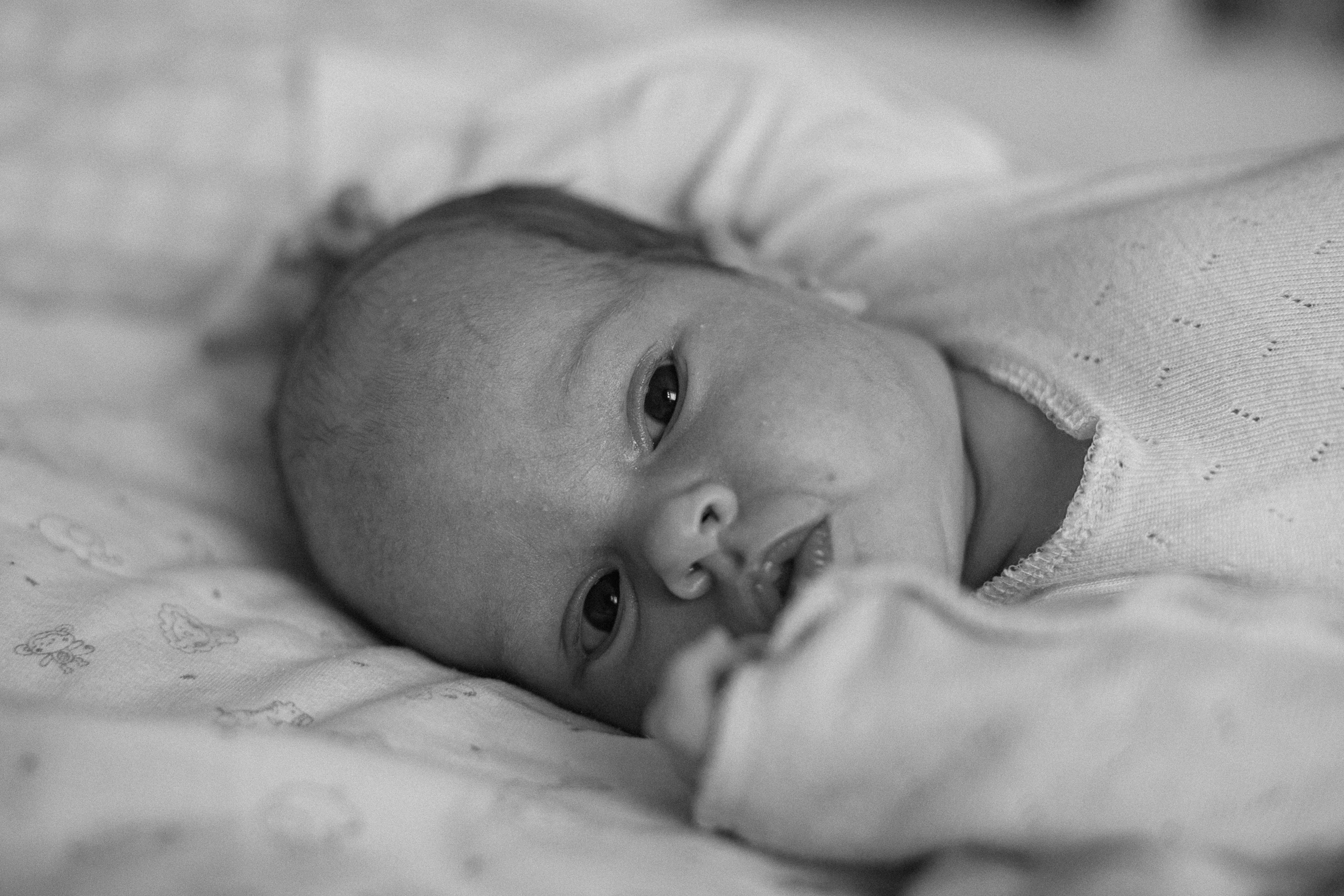 Семейный фотограф москва. Фотограф Москва