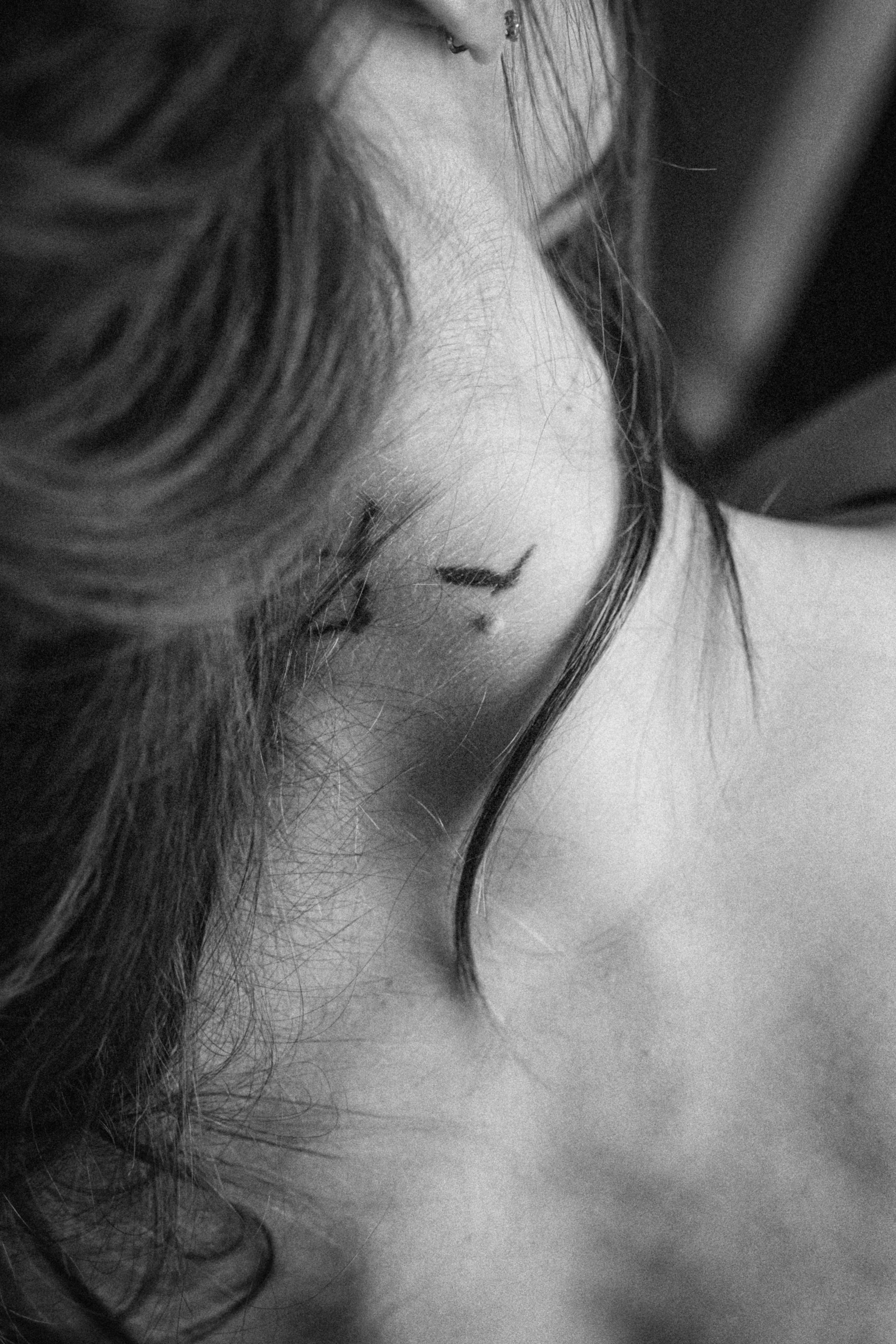 . Фотограф Москва