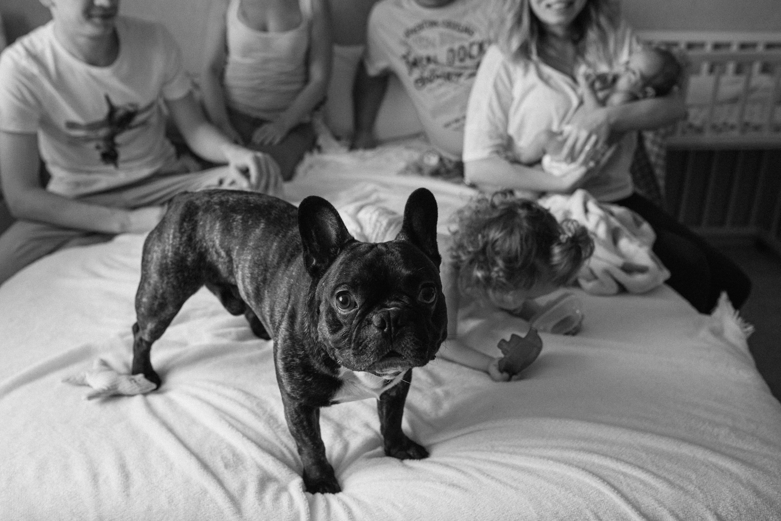 Семейный фотограф москва. Фотограф Москва