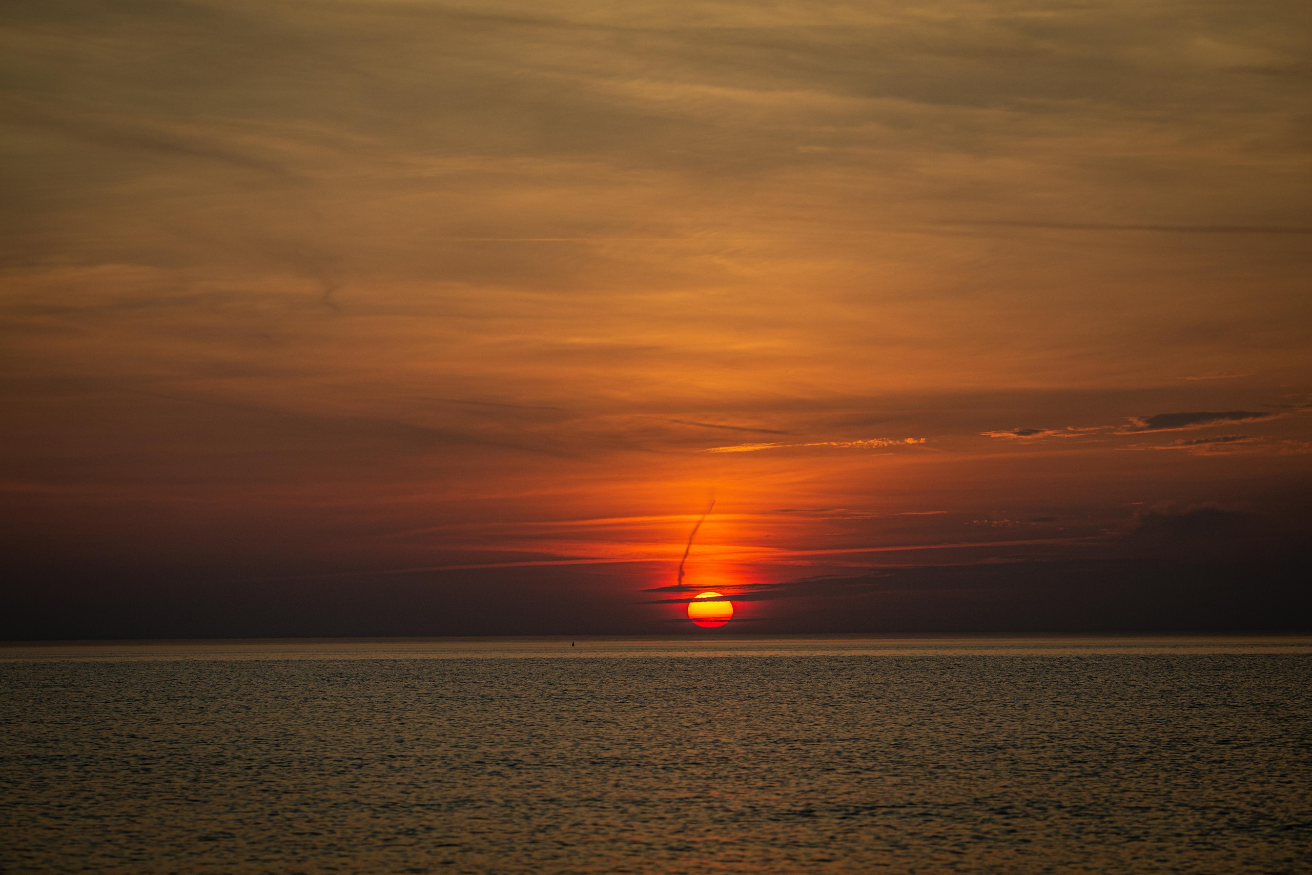 Семейный фотограф москва. Фотограф Москва