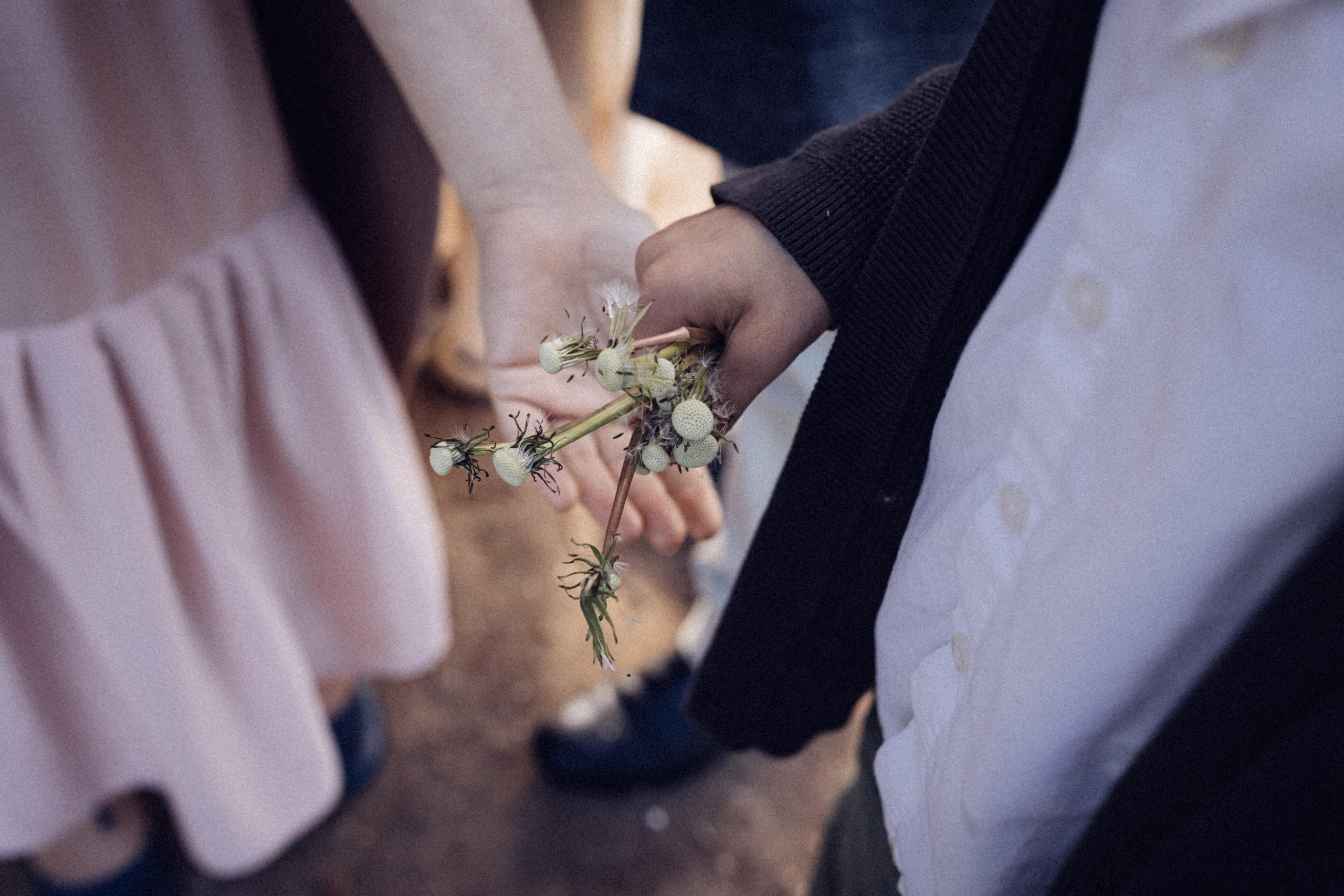 Семейный фотограф москва. Фотограф Москва