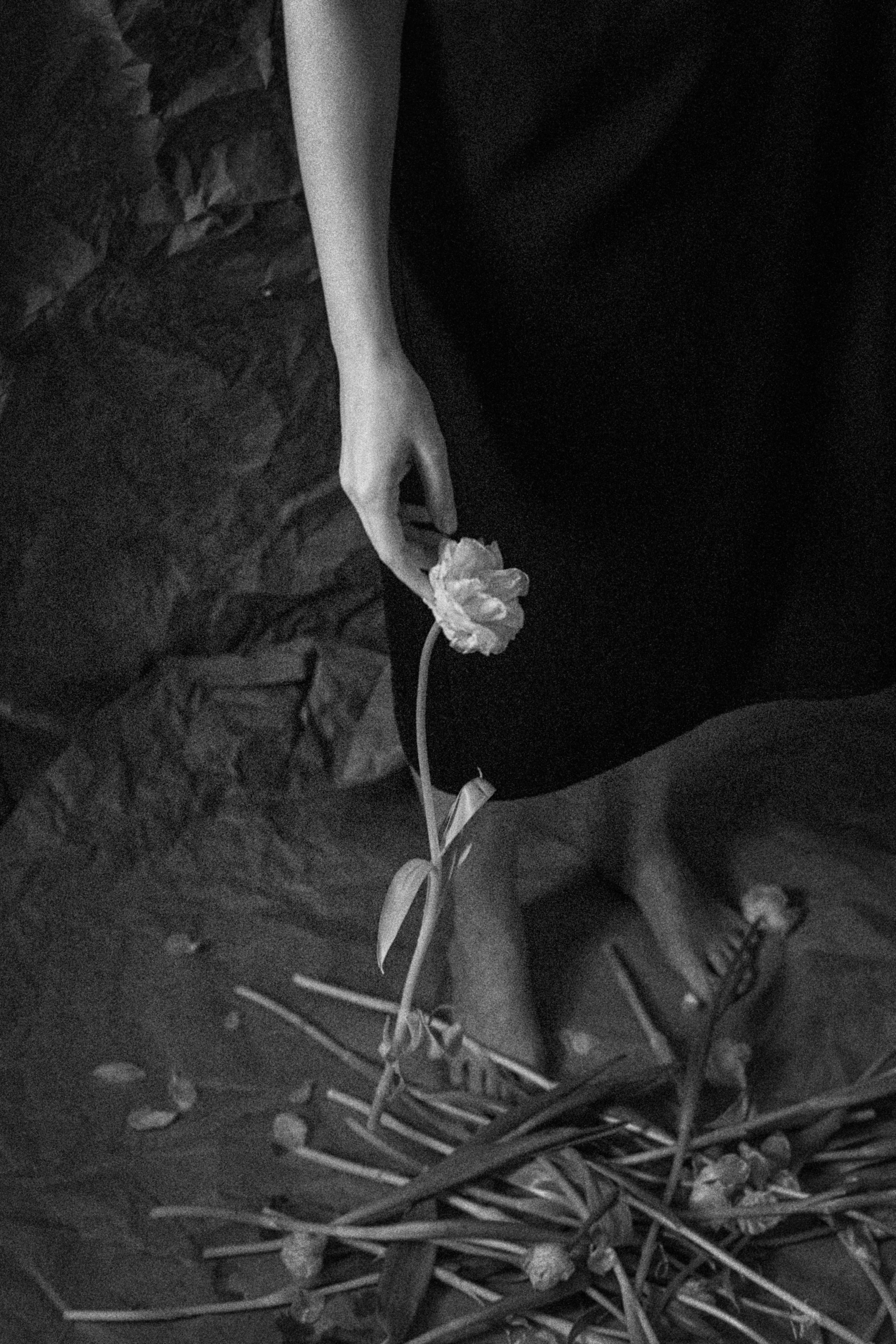 . Фотограф Москва