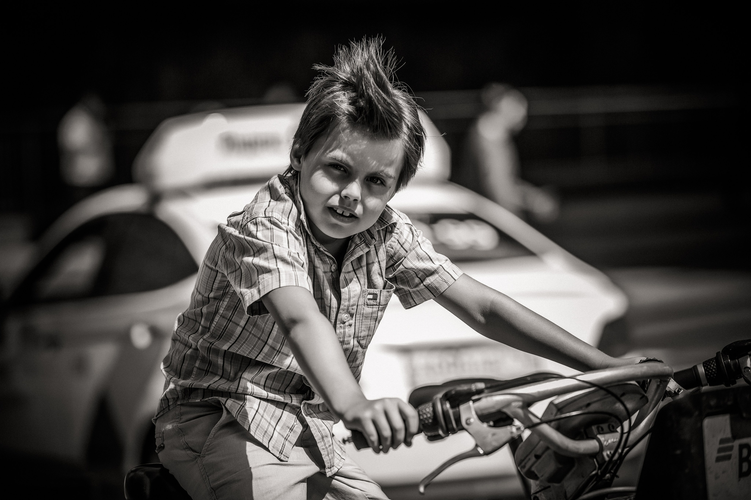 Лев. Свадебный и семейный фотограф в Москве и Подмосковье Лариса Козлова