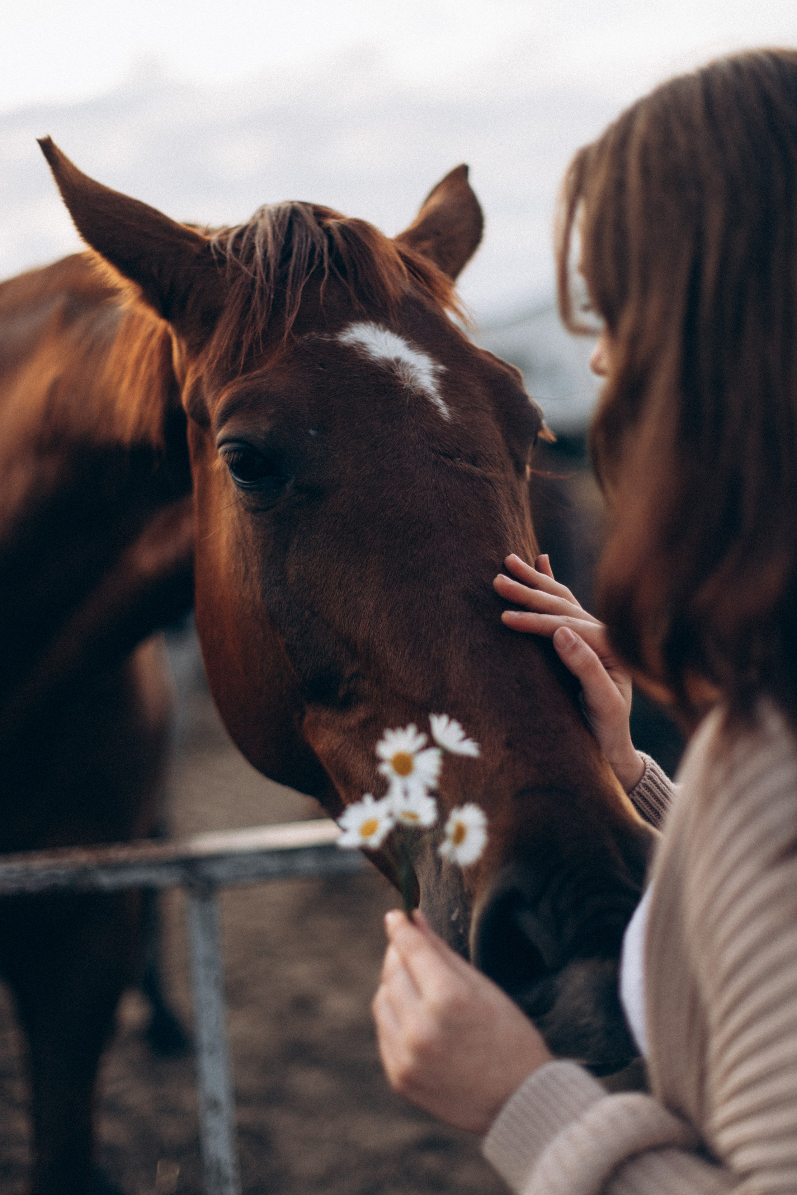 Что-то на закатном. Репортажный и детский фотограф в Минске
