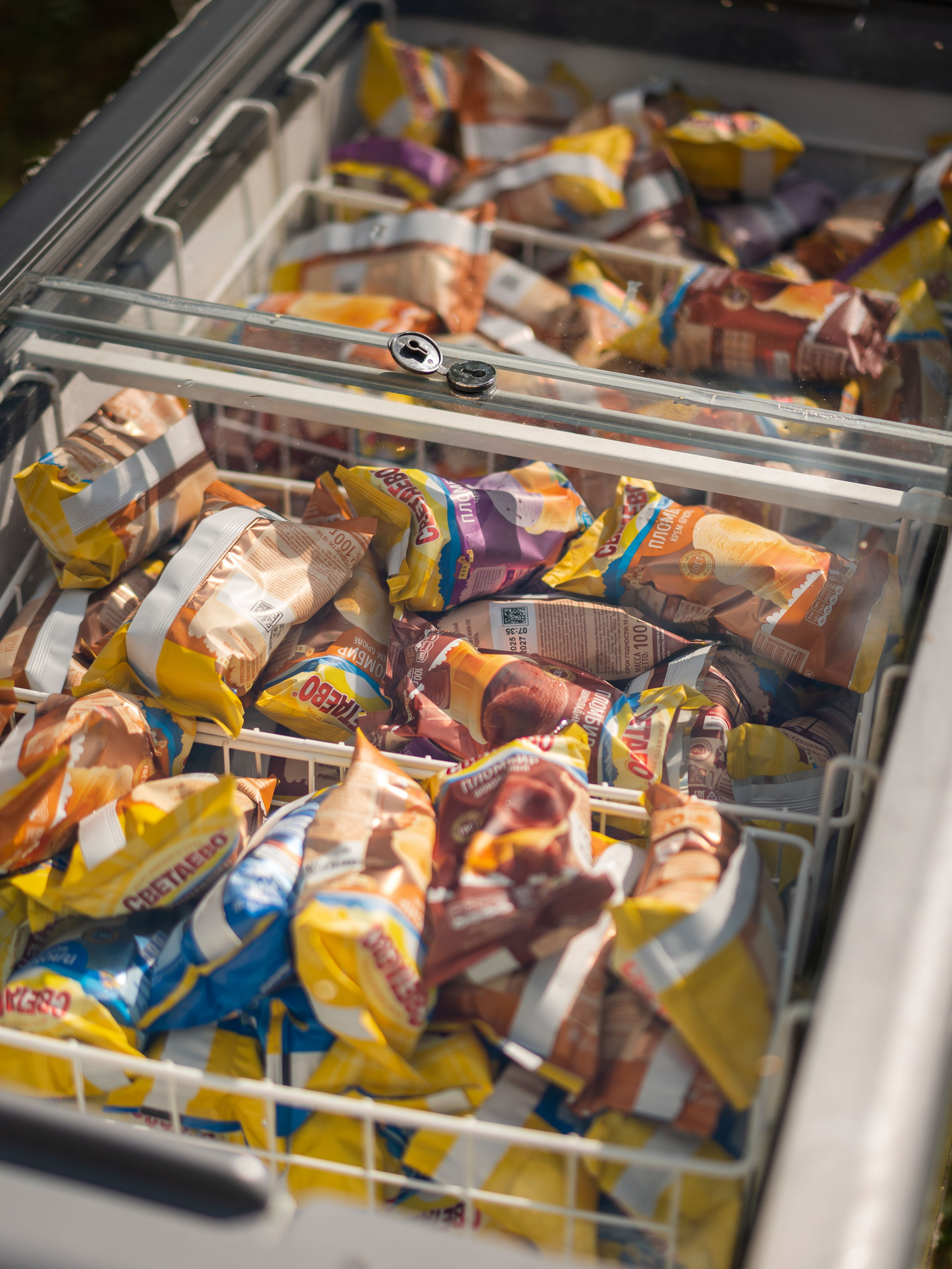 День знаний вместе с чижиком. Фотограф Москва