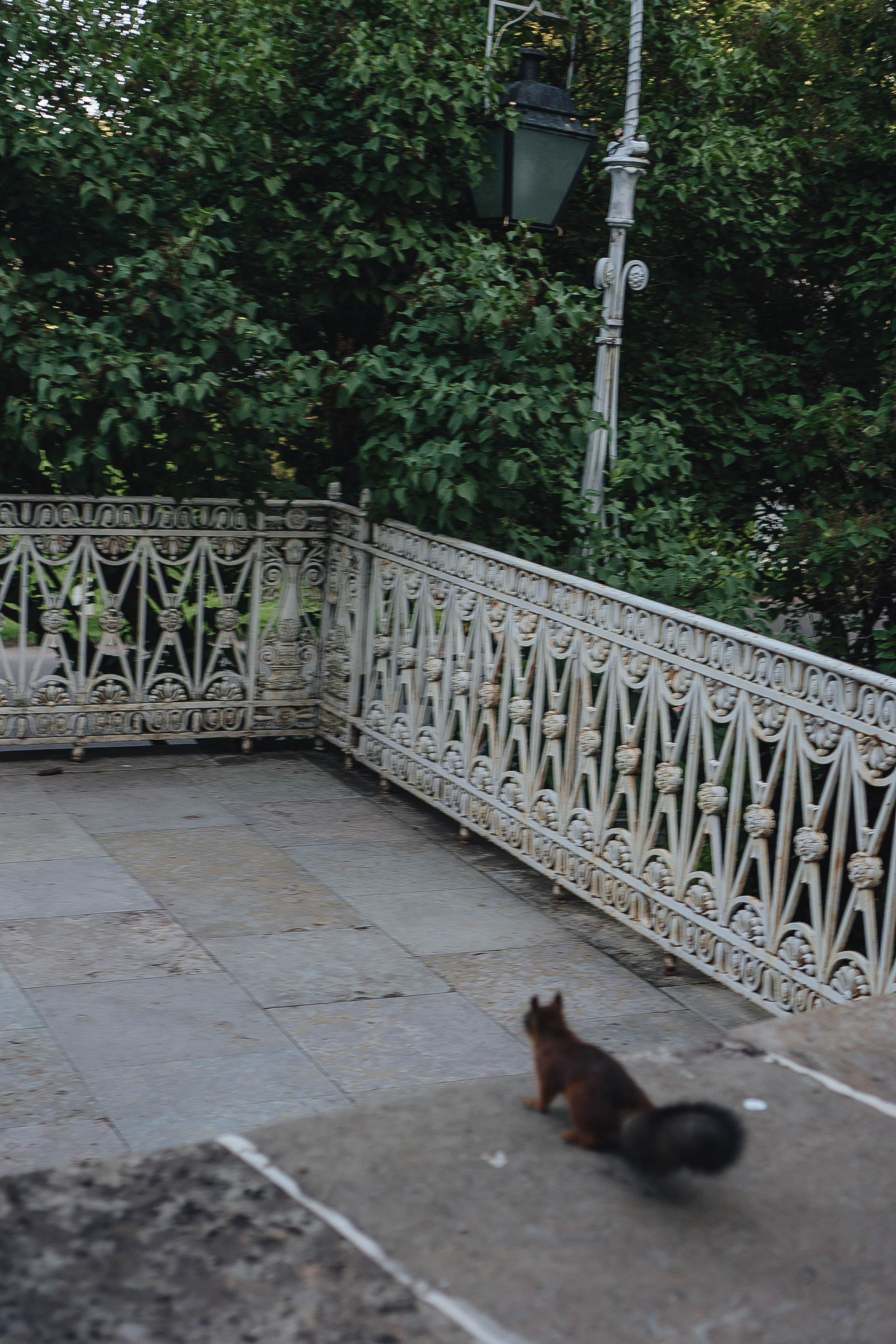 СВАДЕБНАЯ СЬЕМКА НА РАССВЕТЕ НА ЕЛАГИНОМ ОСТОРОВЕ. Профессиональный фотограф, Санкт-Петербург — Виктория Богомолова