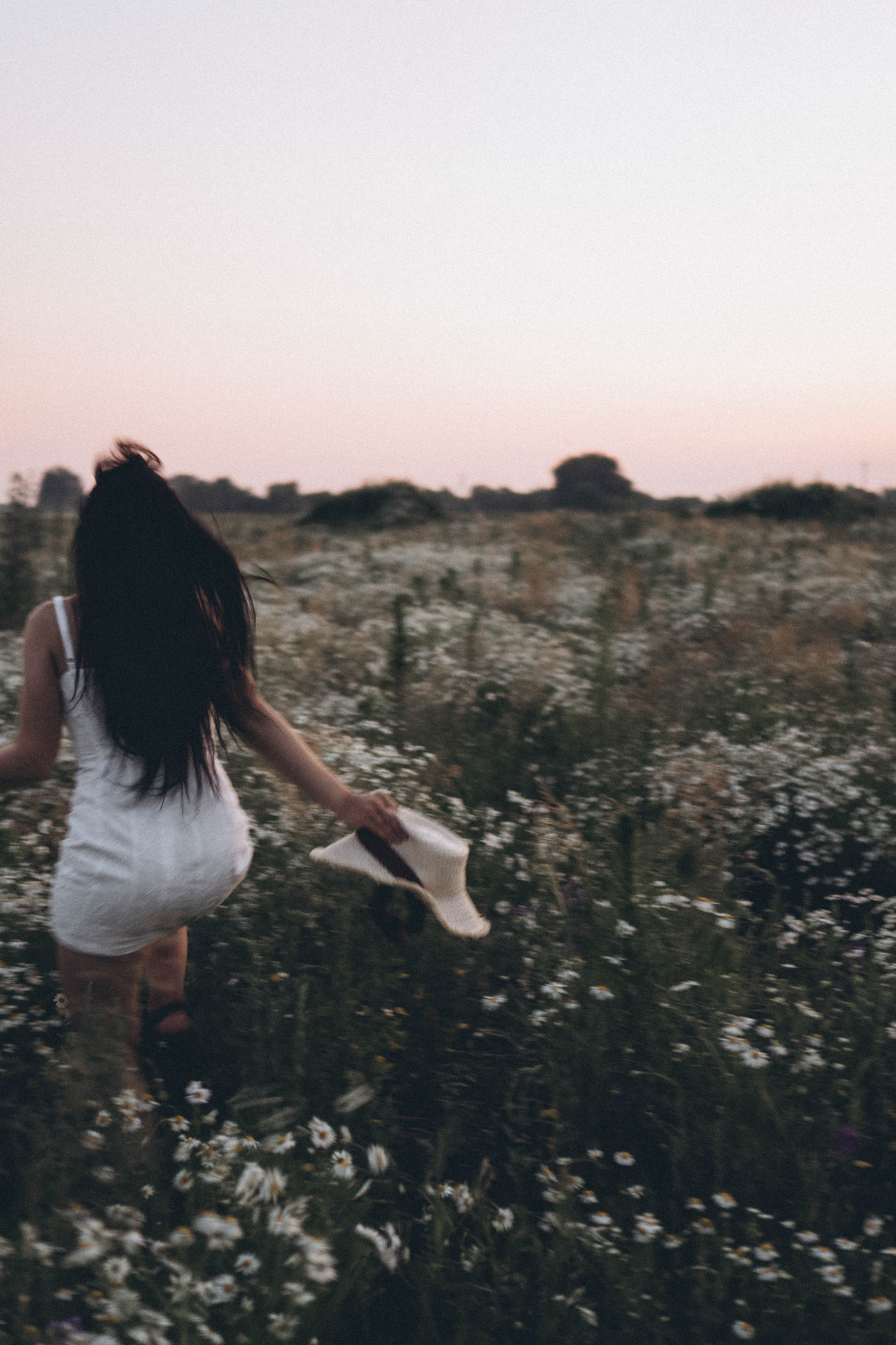 Ромашковое поле. Профессиональный фотограф, Санкт-Петербург — Виктория Богомолова