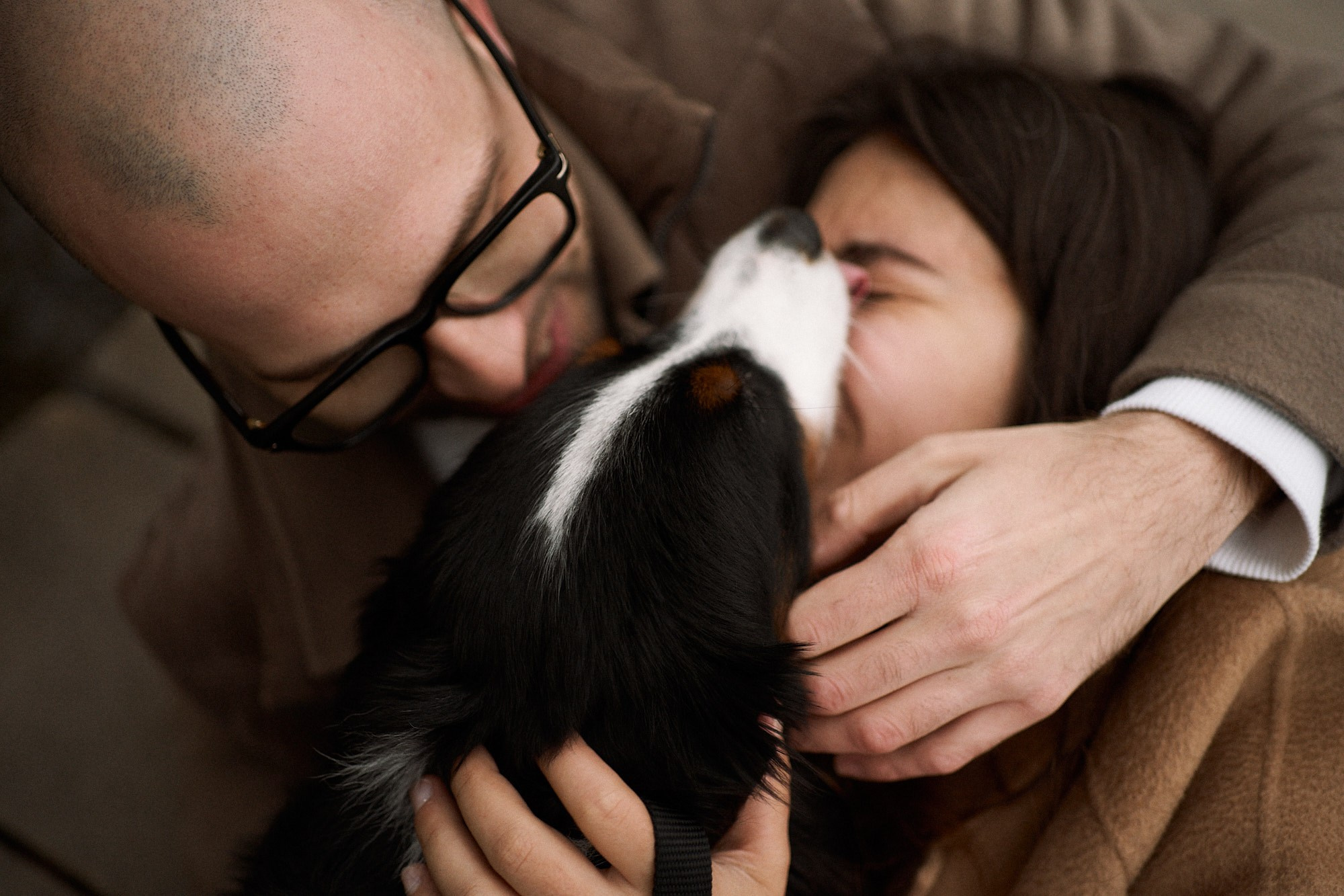 Осенью любить. Фотограф анималист Москва Дарья