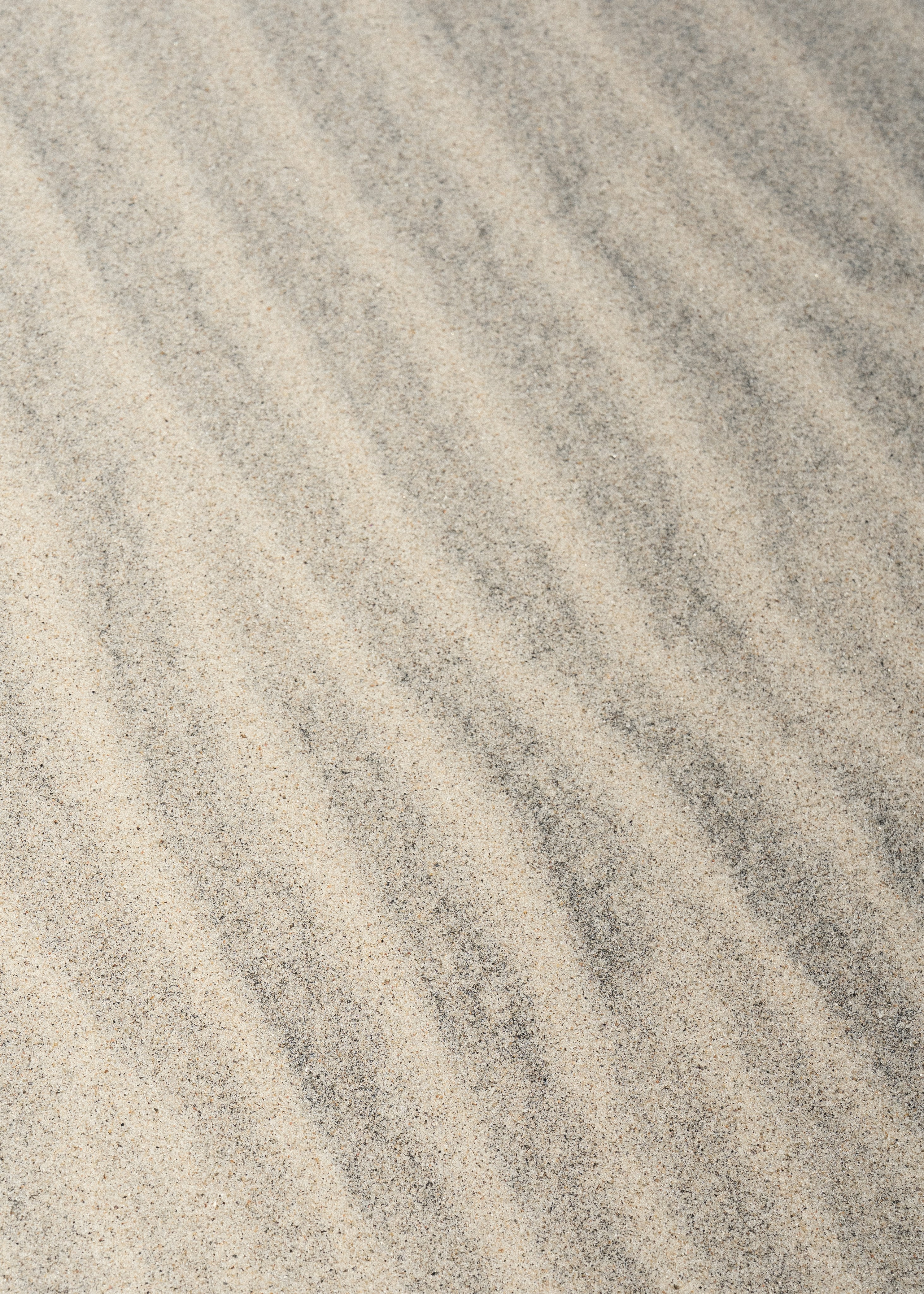 SUN & LOVE DISTRICT. Фотограф Злата Смирнова