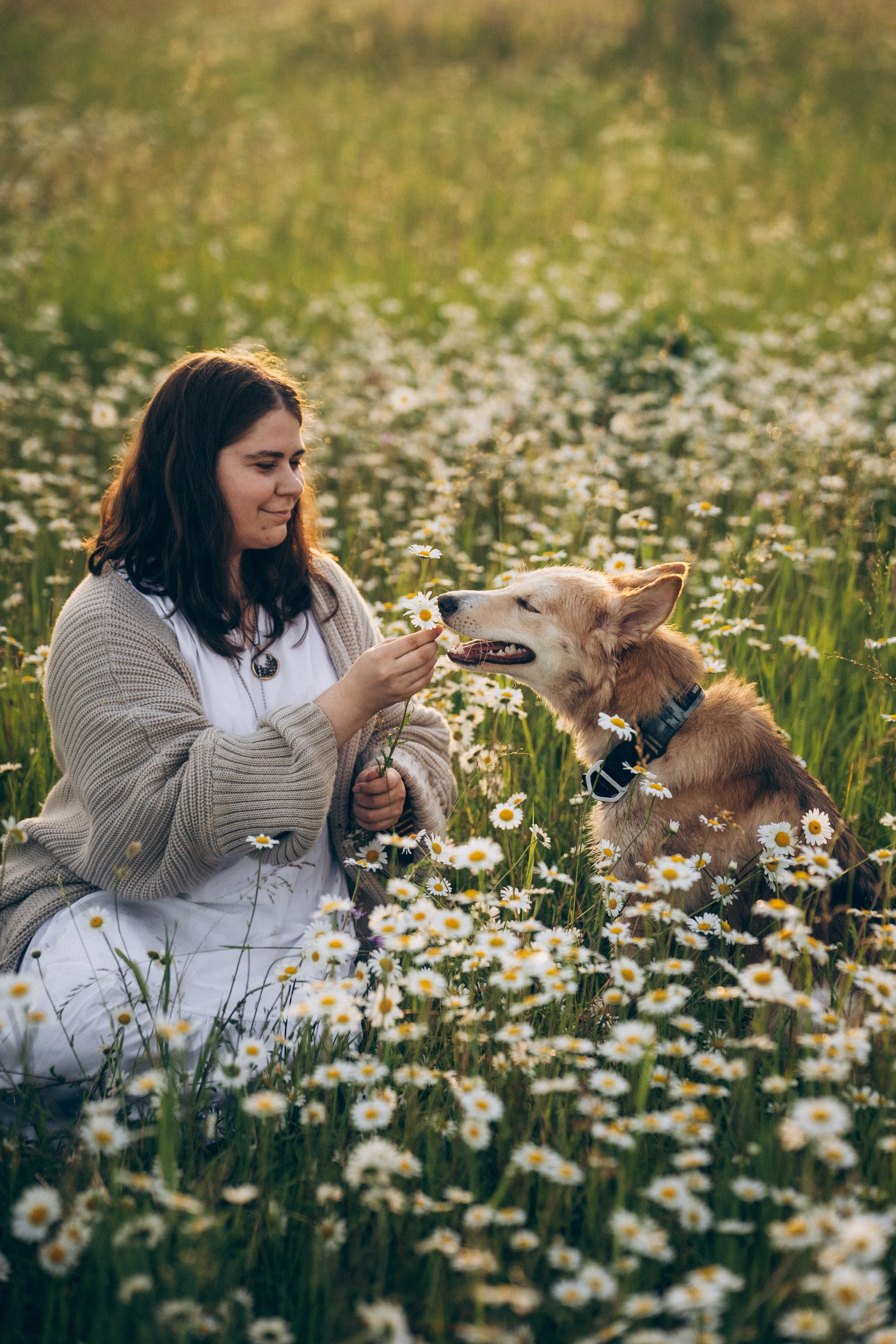 Соня и Кора. Фотограф анималист в Москве и Санкт-Петербурге Свиридова Анна