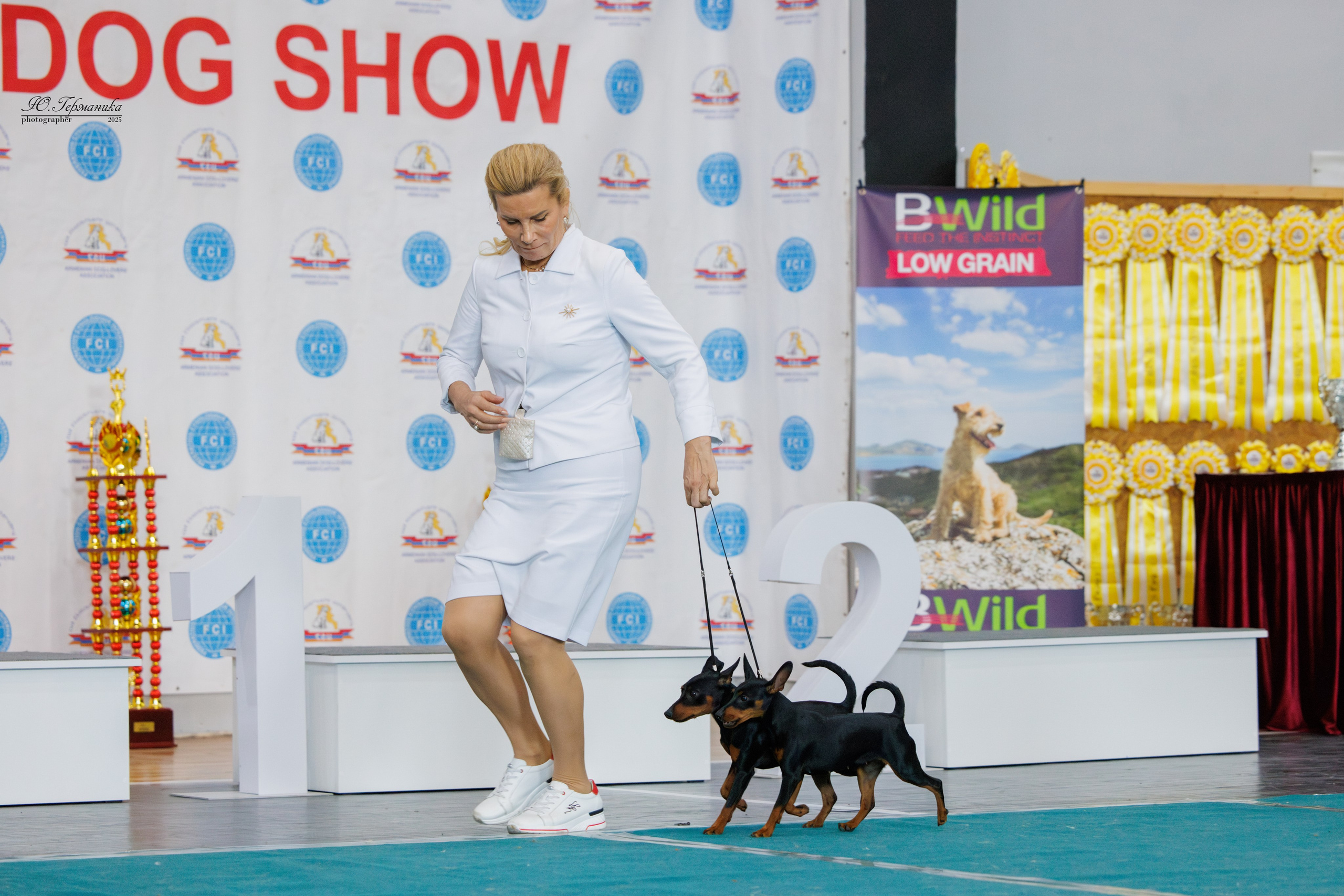 Ереван 2х CACIB 29-30.04.2025. Фотограф-анималист Юлия Германика