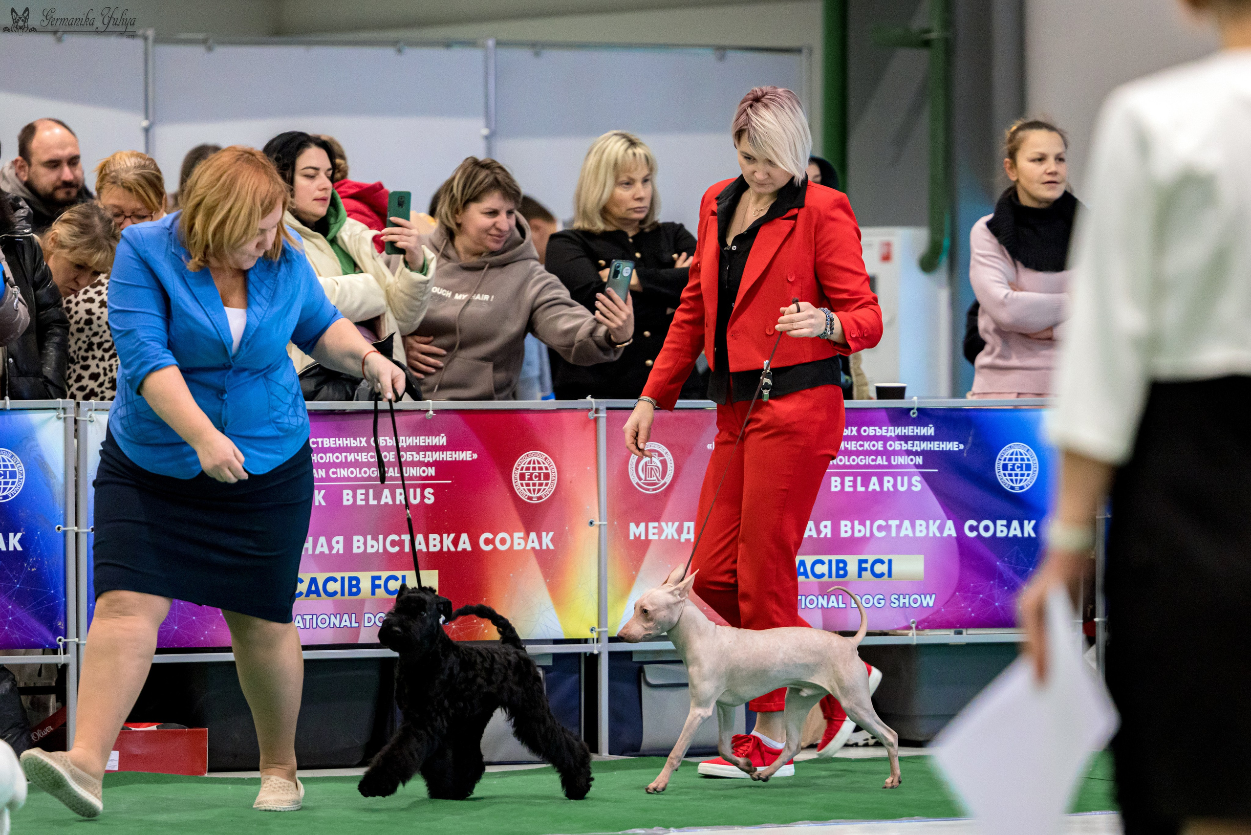 Минск 25-26.11.2023. Фотограф-анималист Юлия Германика