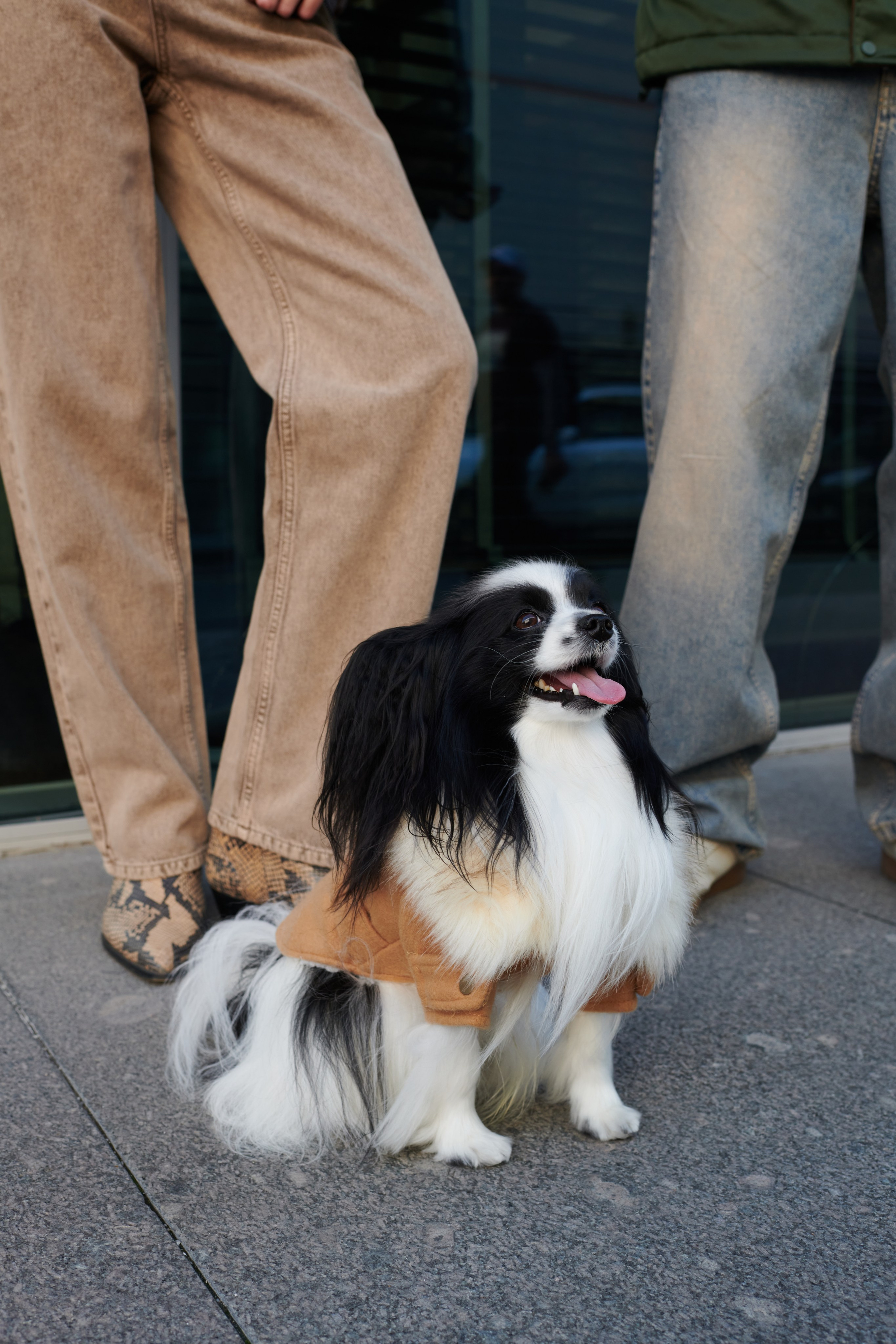 Имидж съемка для бренда Mellizos. Фотограф Москва