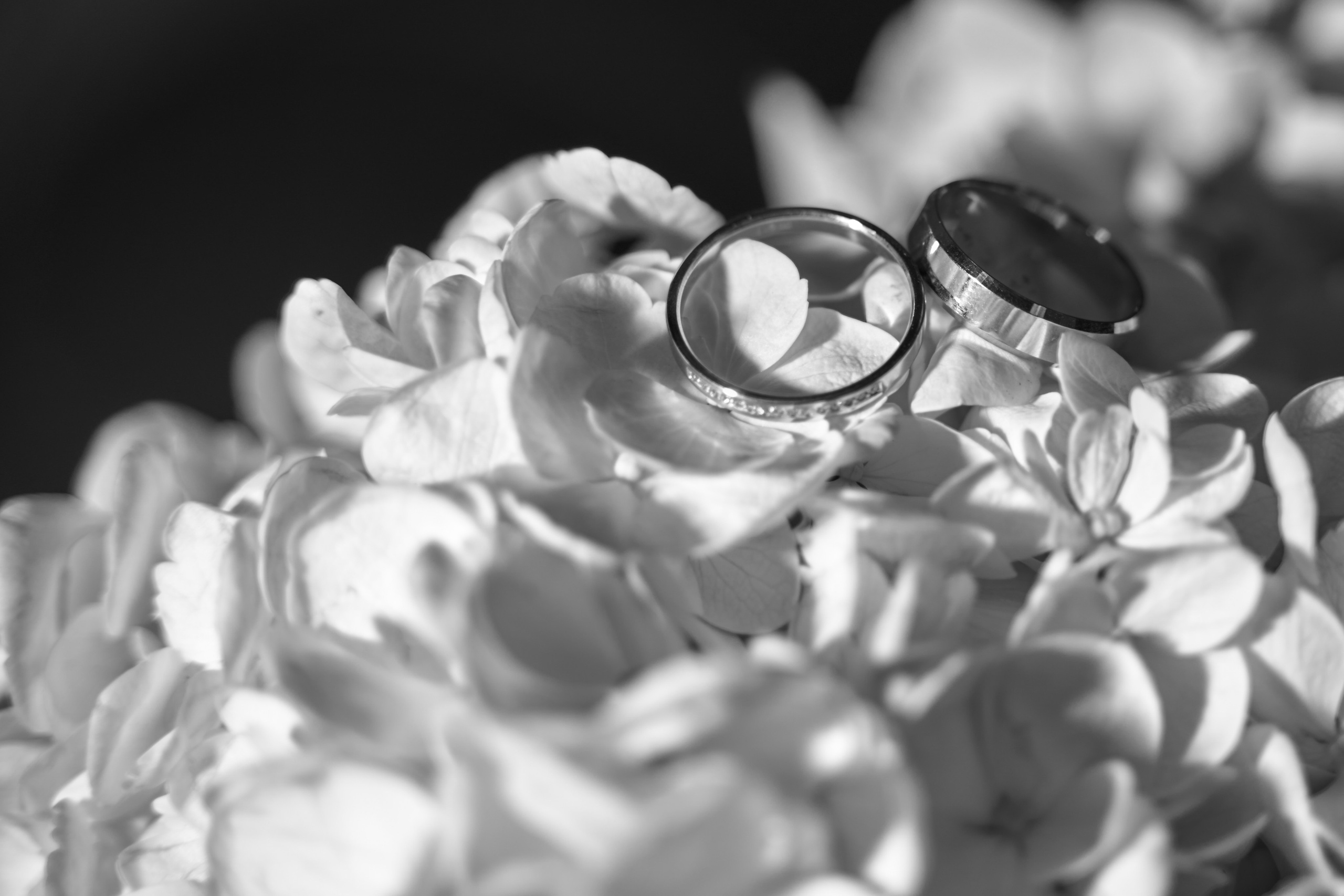 свадебный фотограф Свадебная фотосессия Фотограф на свадьбу 