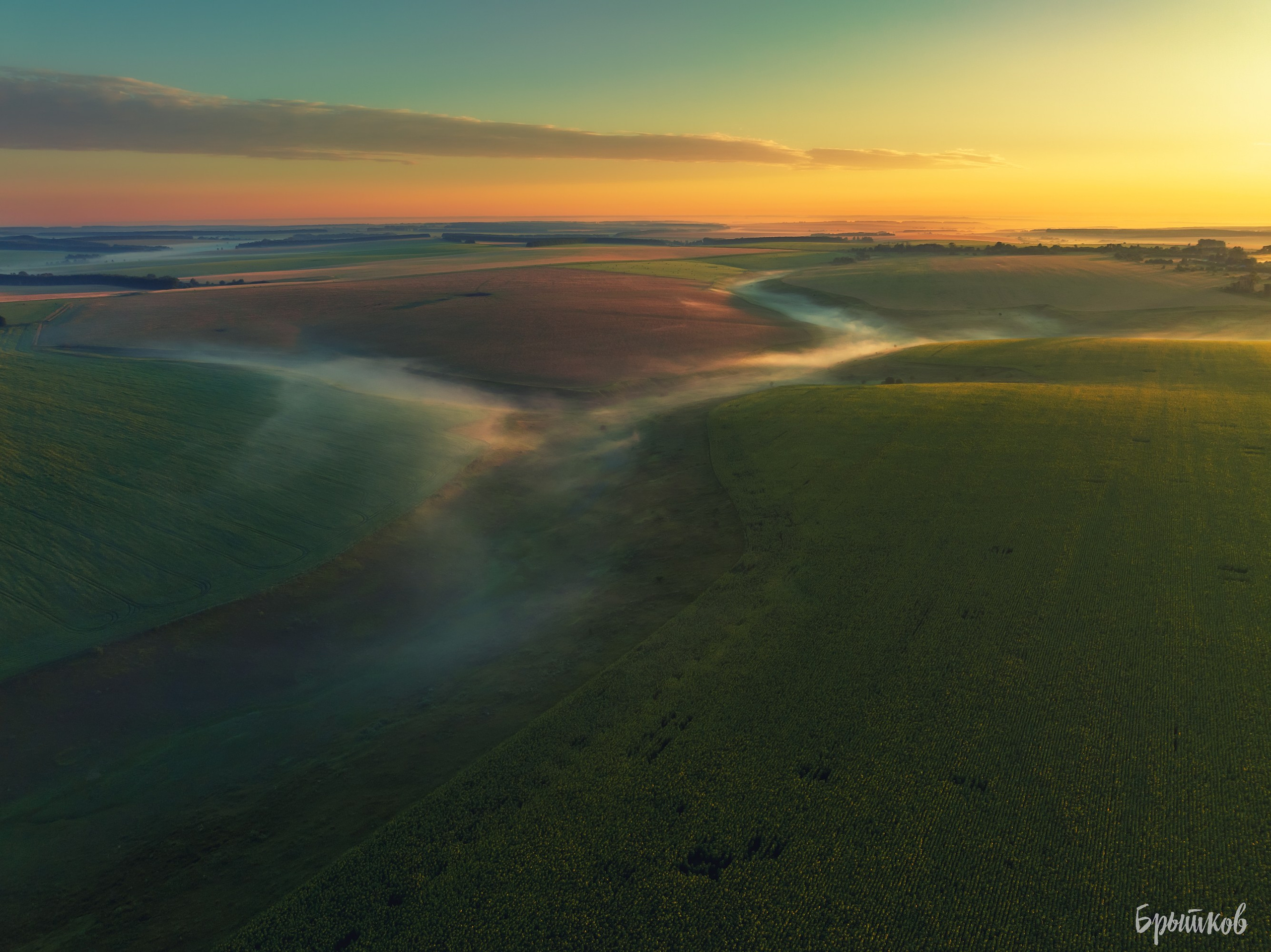 Поля. Подсолнухи. Николай Брытков — фотограф в Туле