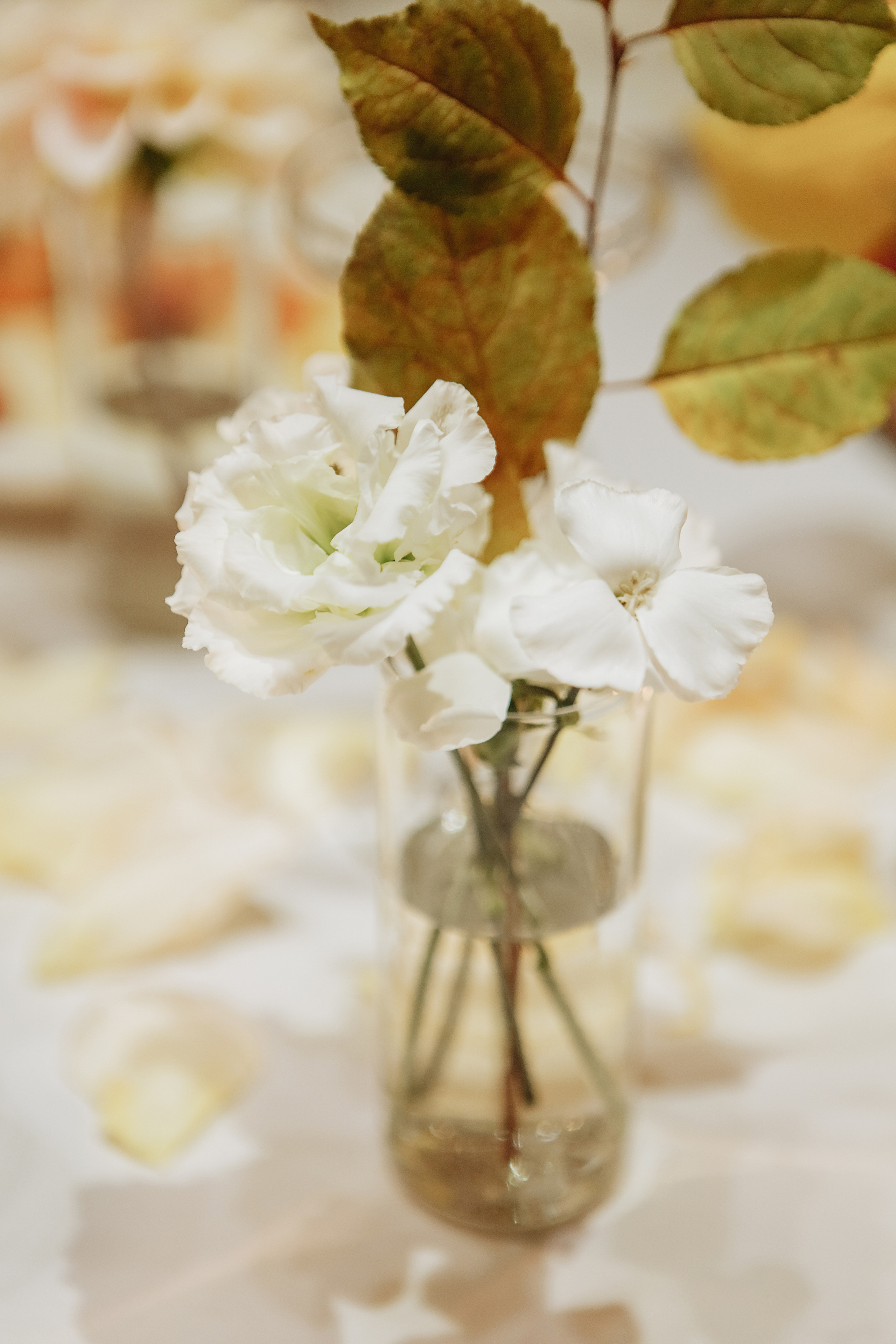 Алина и Юра. Свадебный фотограф в Санкт-Петербурге