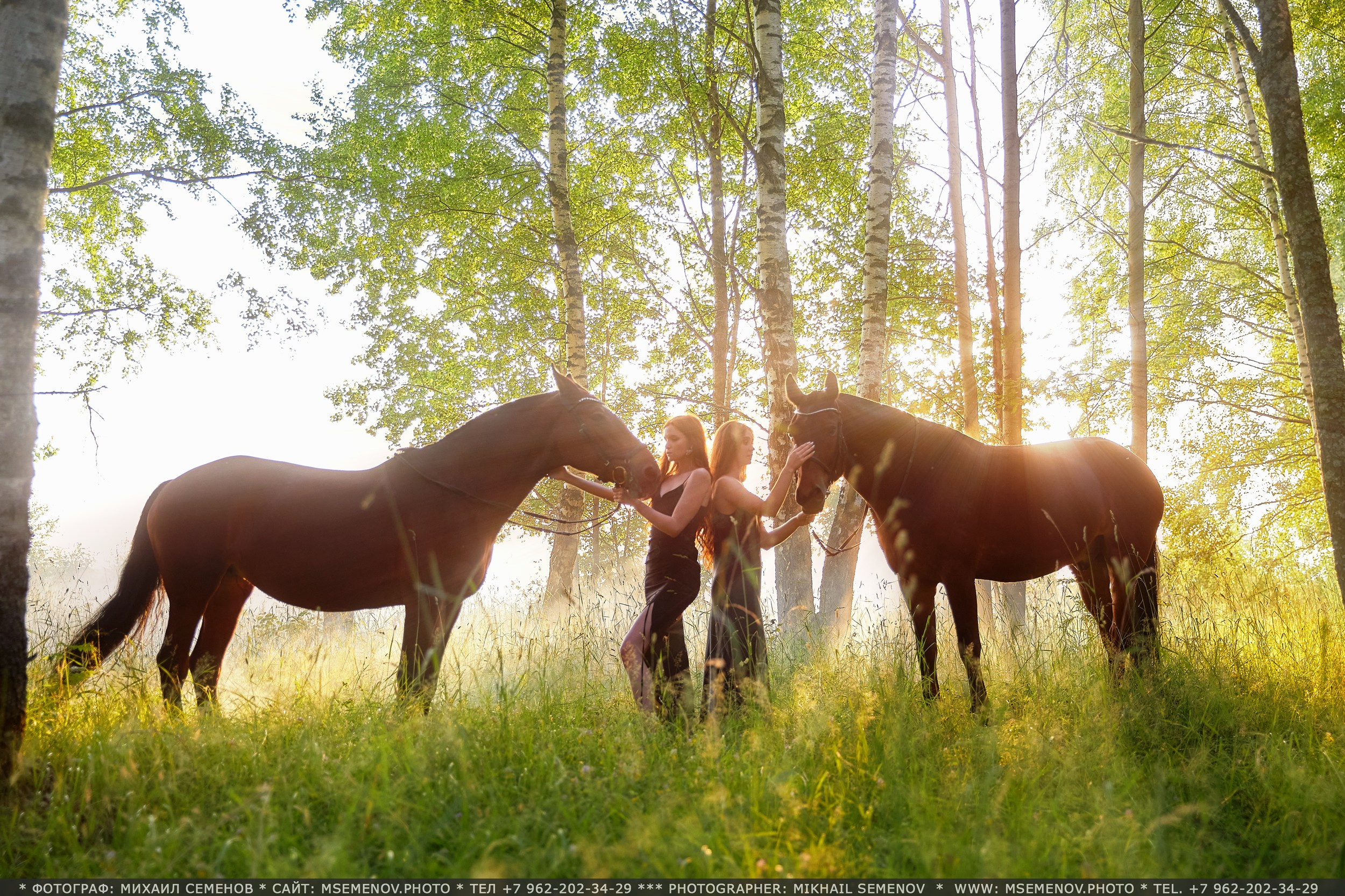 Фотосессия с лошадьми, Фотограф Михаил Семенов г. Ярославль