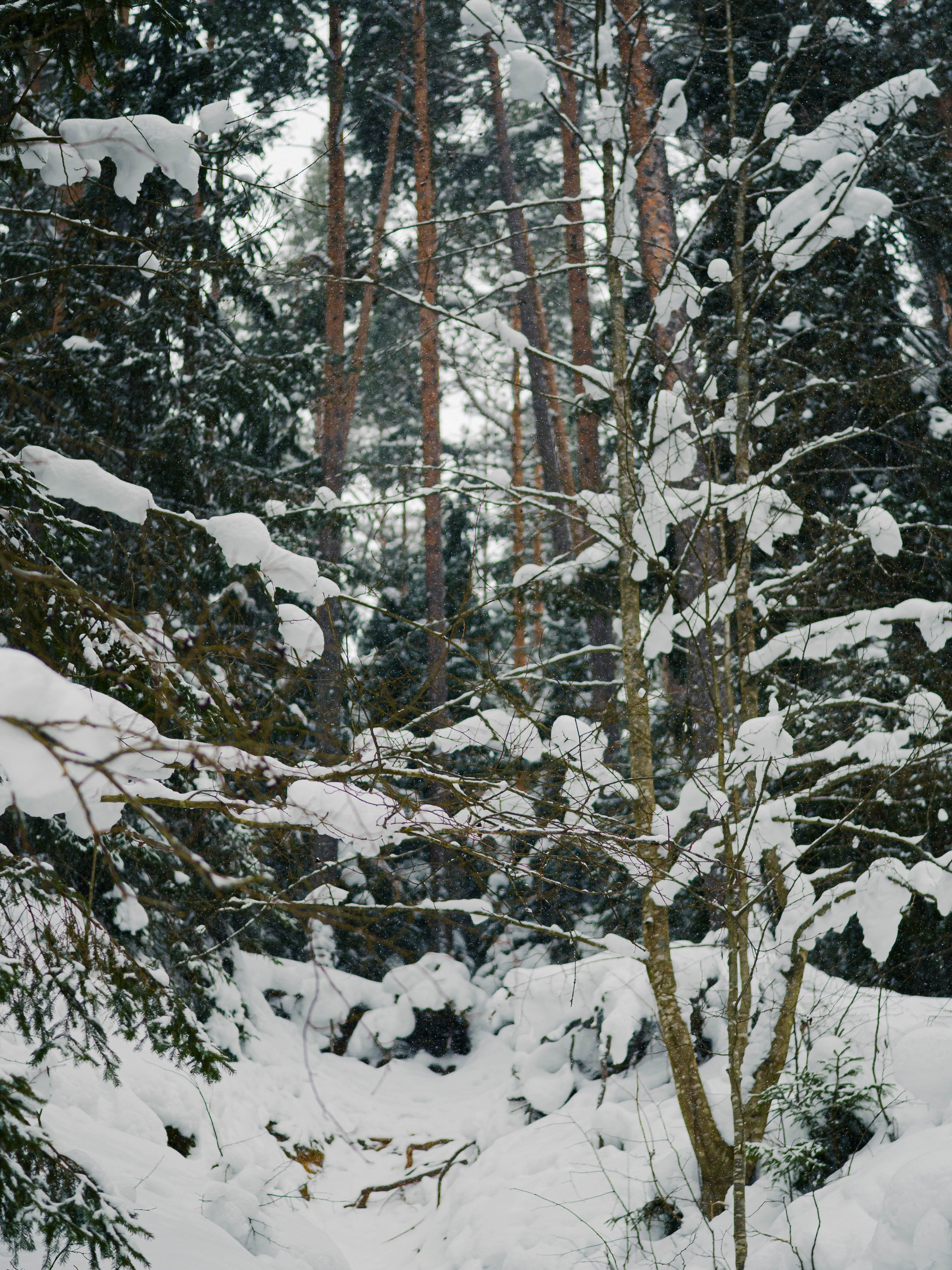 Skuratov Trail Run. Портретный и репортажный фотограф в Санкт-Петербурге Смоляков Максим