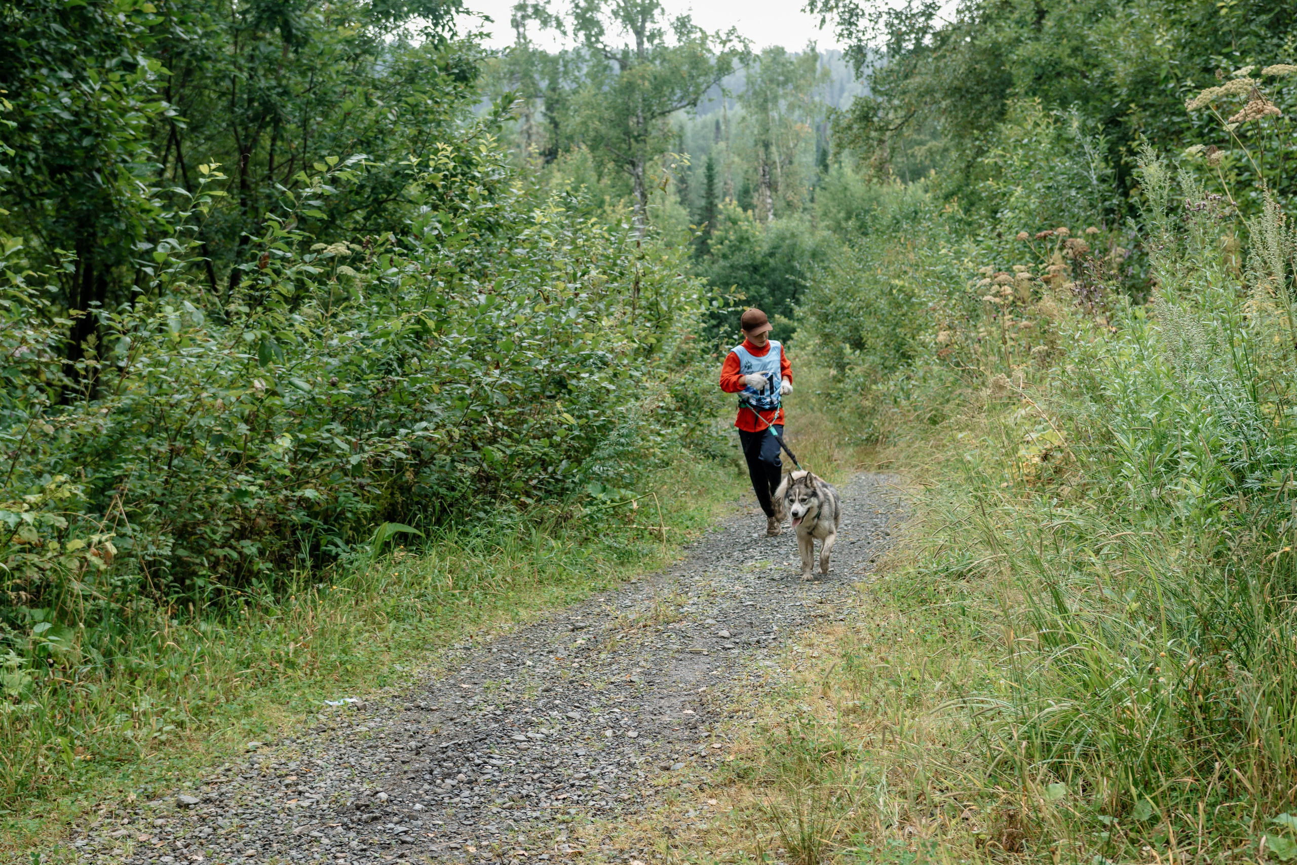 Дог-треккинг