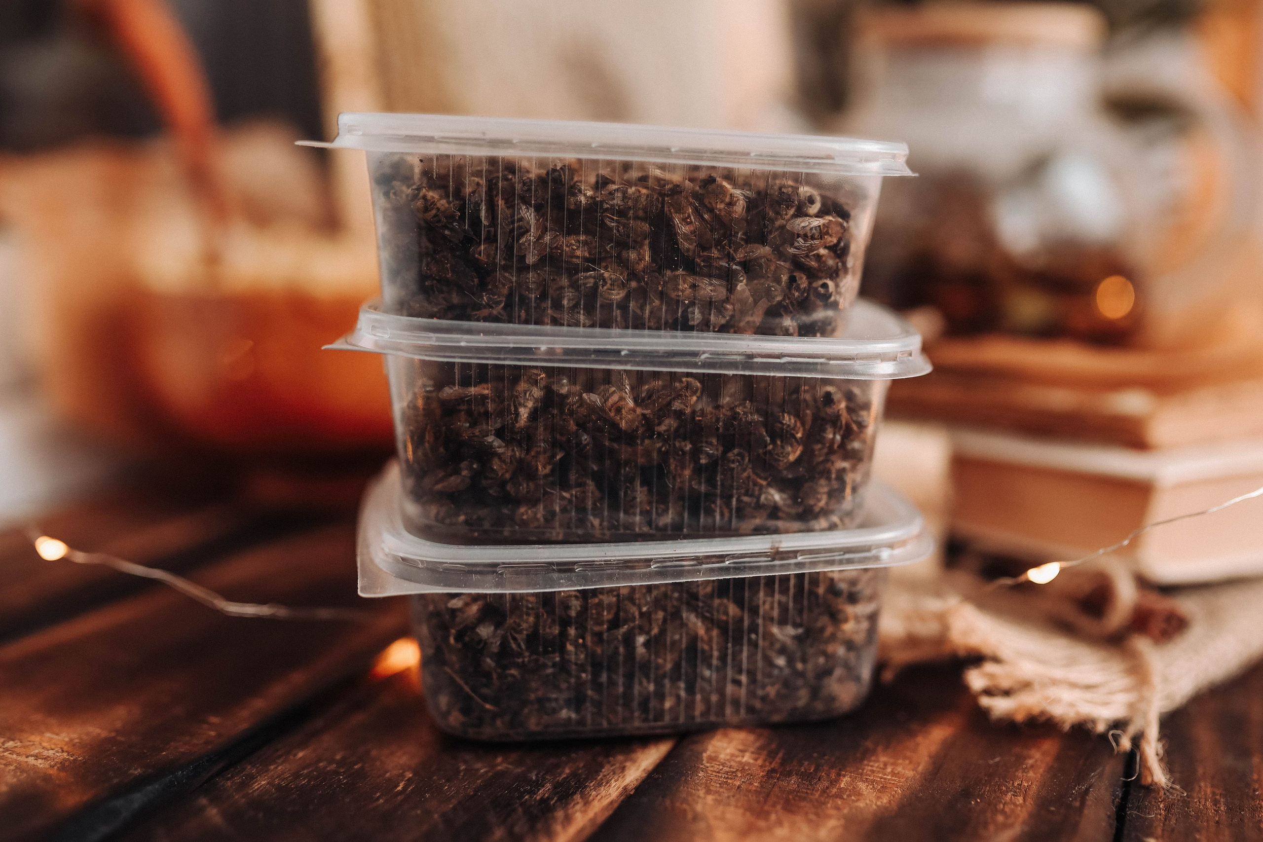 Мед. Фотограф  Ксения Евдокова. Дзержинск, Нижний, Москва, Питер