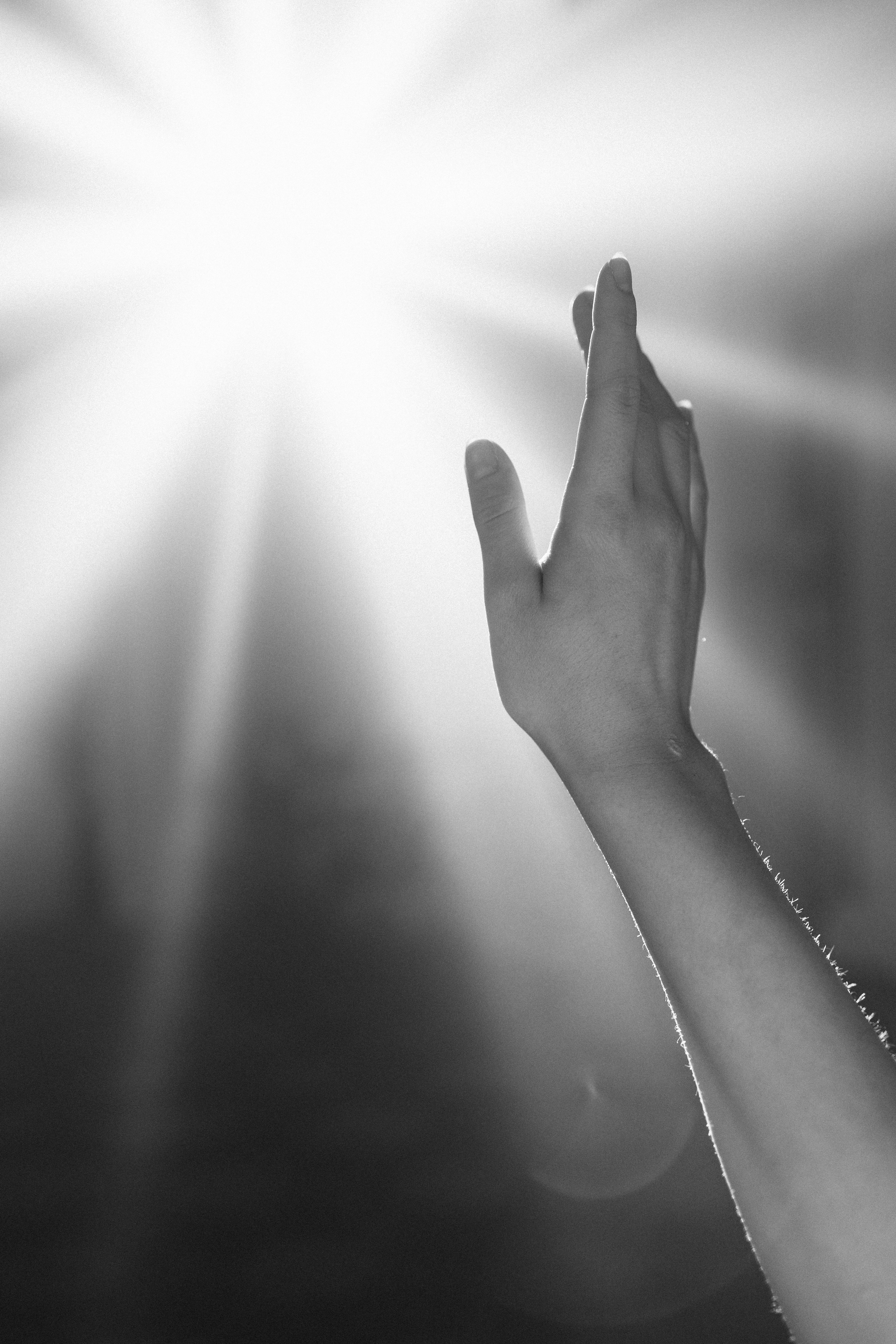 Творческая фотосессия. Свадебный и семейный фотограф в Нур-султан Мухтар Шахмет